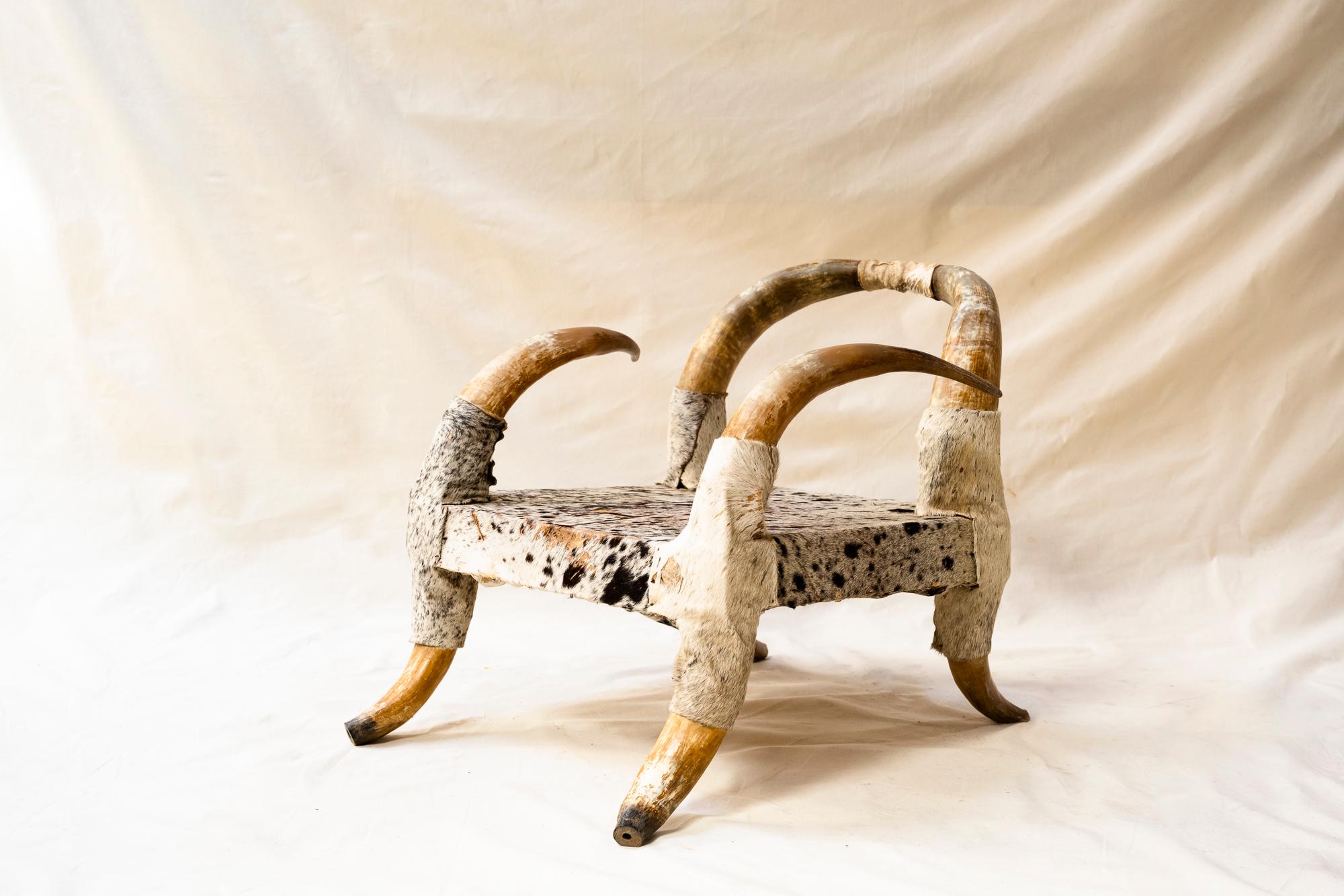 Early 20th Century Vintage French Horn & Hide Chairs, Set of 4 For Sale 7