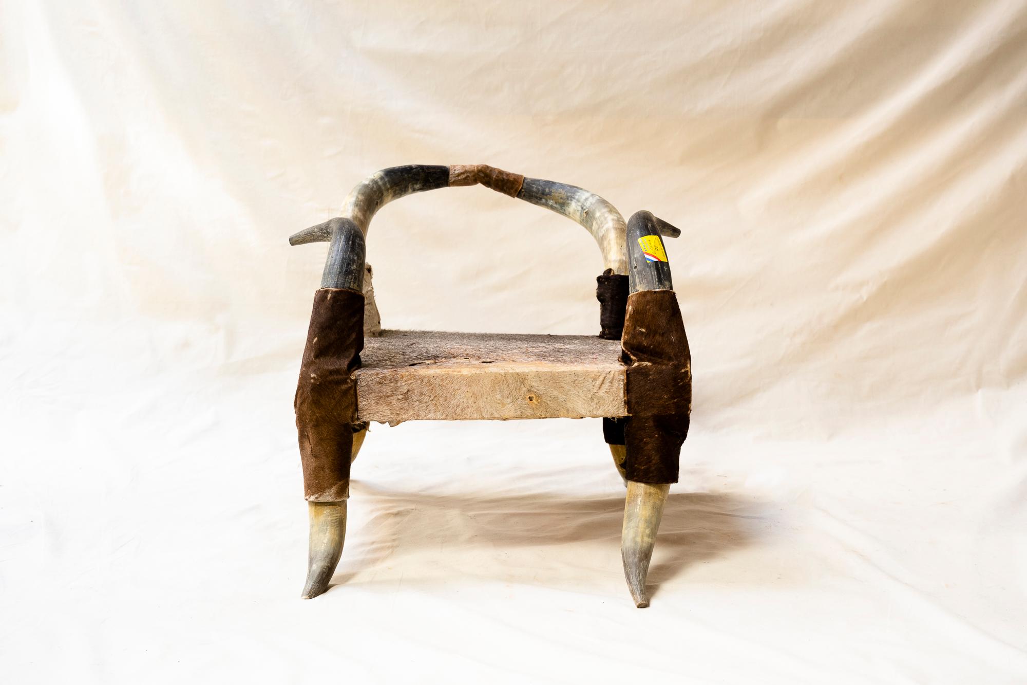 Une suite de 4 chaises longues uniques en cornes et cuir tendu sur une structure en bois. 
D'origine inconnue, peut-être fabriquées à partir de cornes de taureaux et de peaux trouvées au pied des Pyrénées, ces chaises ont été acquises dans la salle