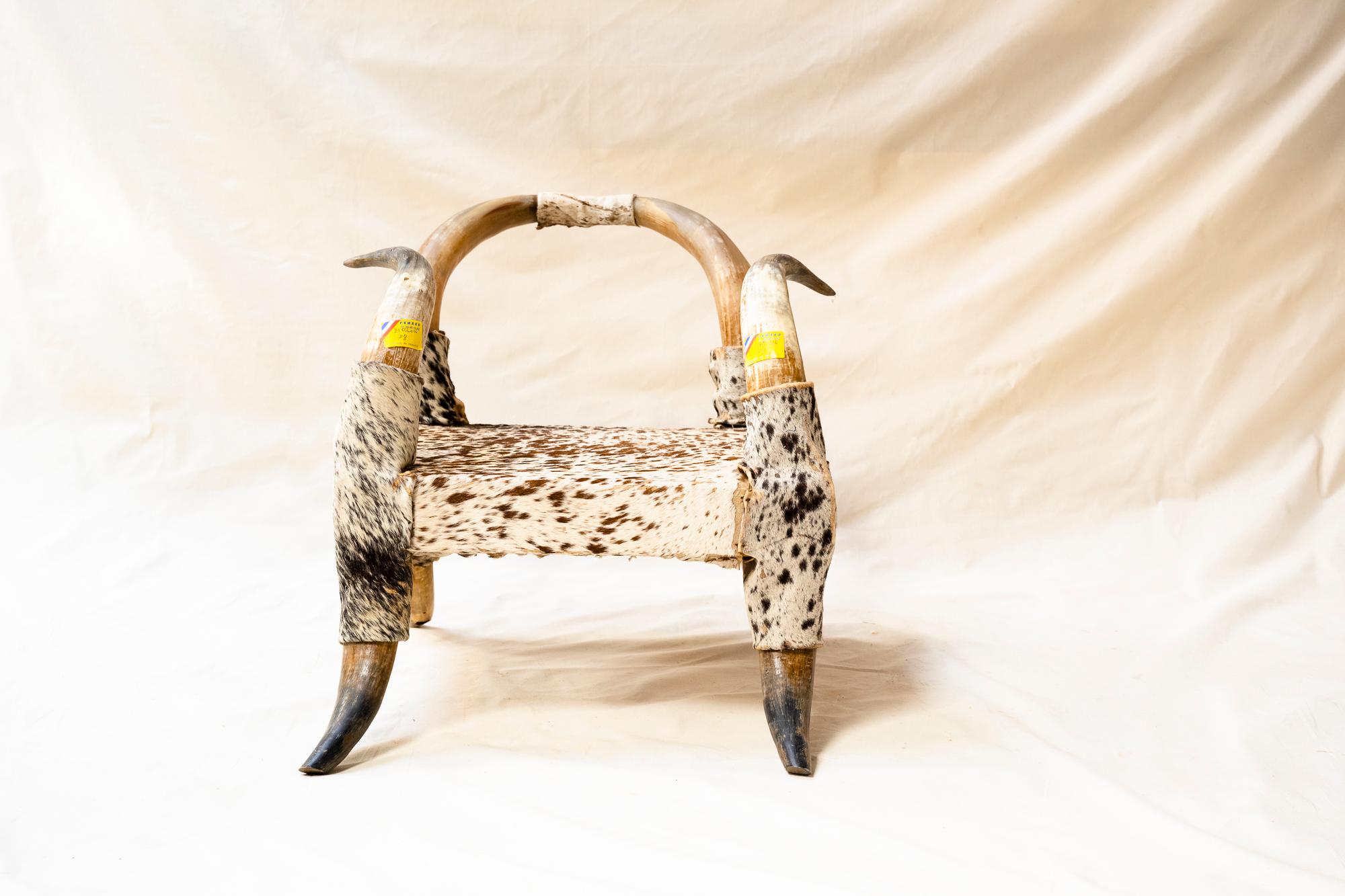 Chaises françaises vintage en corne et peau du début du XXe siècle, ensemble de 4 pièces État moyen - En vente à Ross, CA