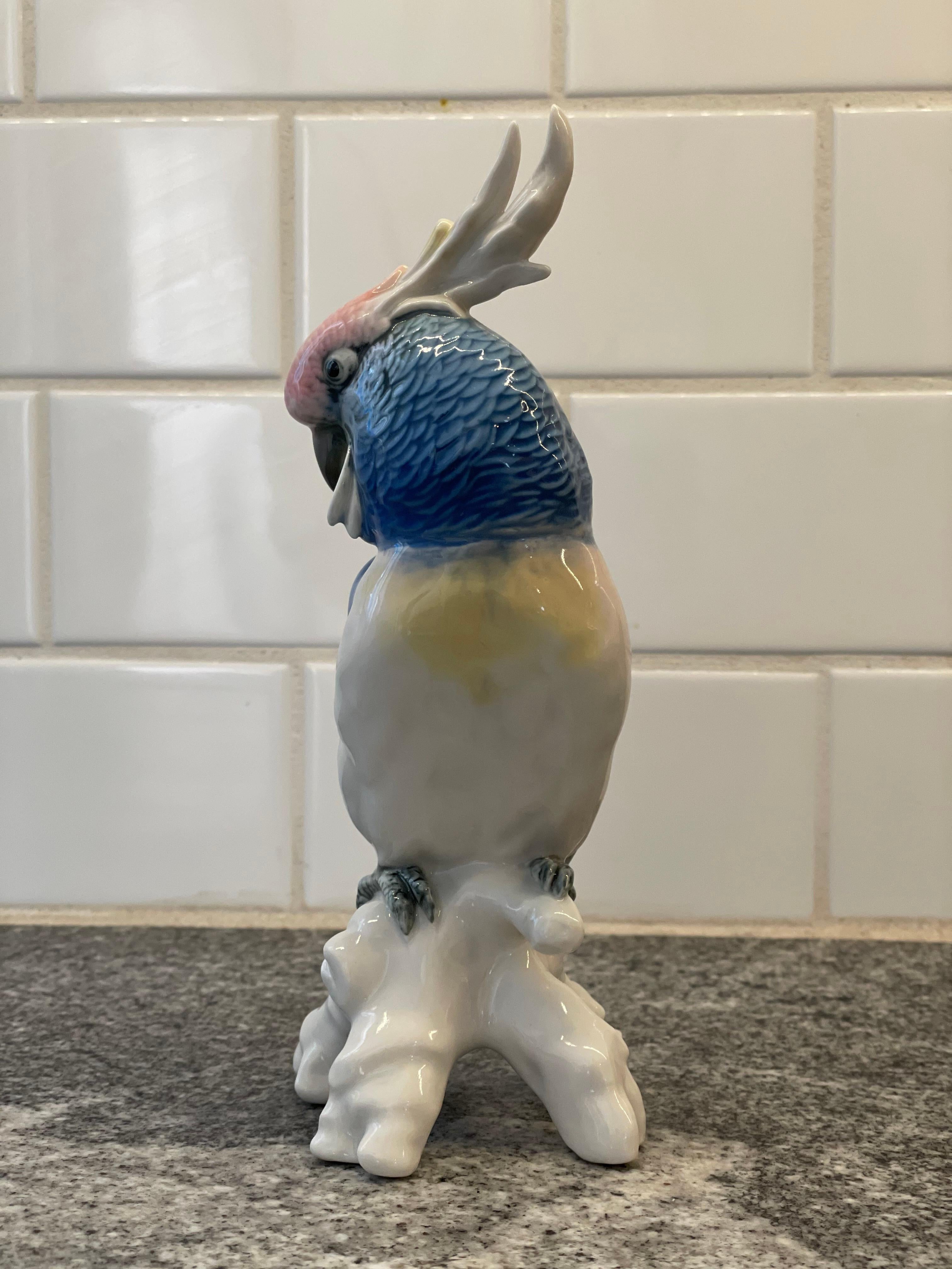 Beautiful Cockatoo figurine. German Porcelain, Karl Ens. Wonderful color and expression.