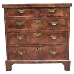 Early 20th Century Walnut Bachelors Chest