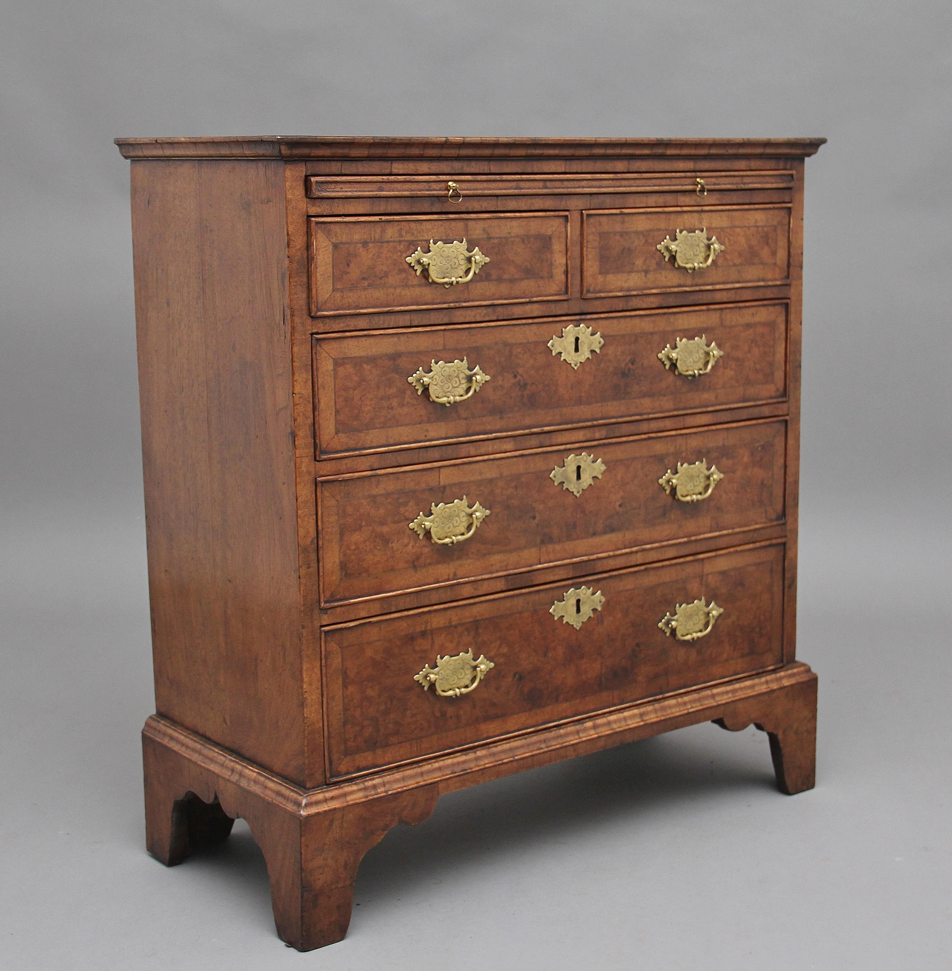 Early 20th Century Walnut Chest of Drawers 7