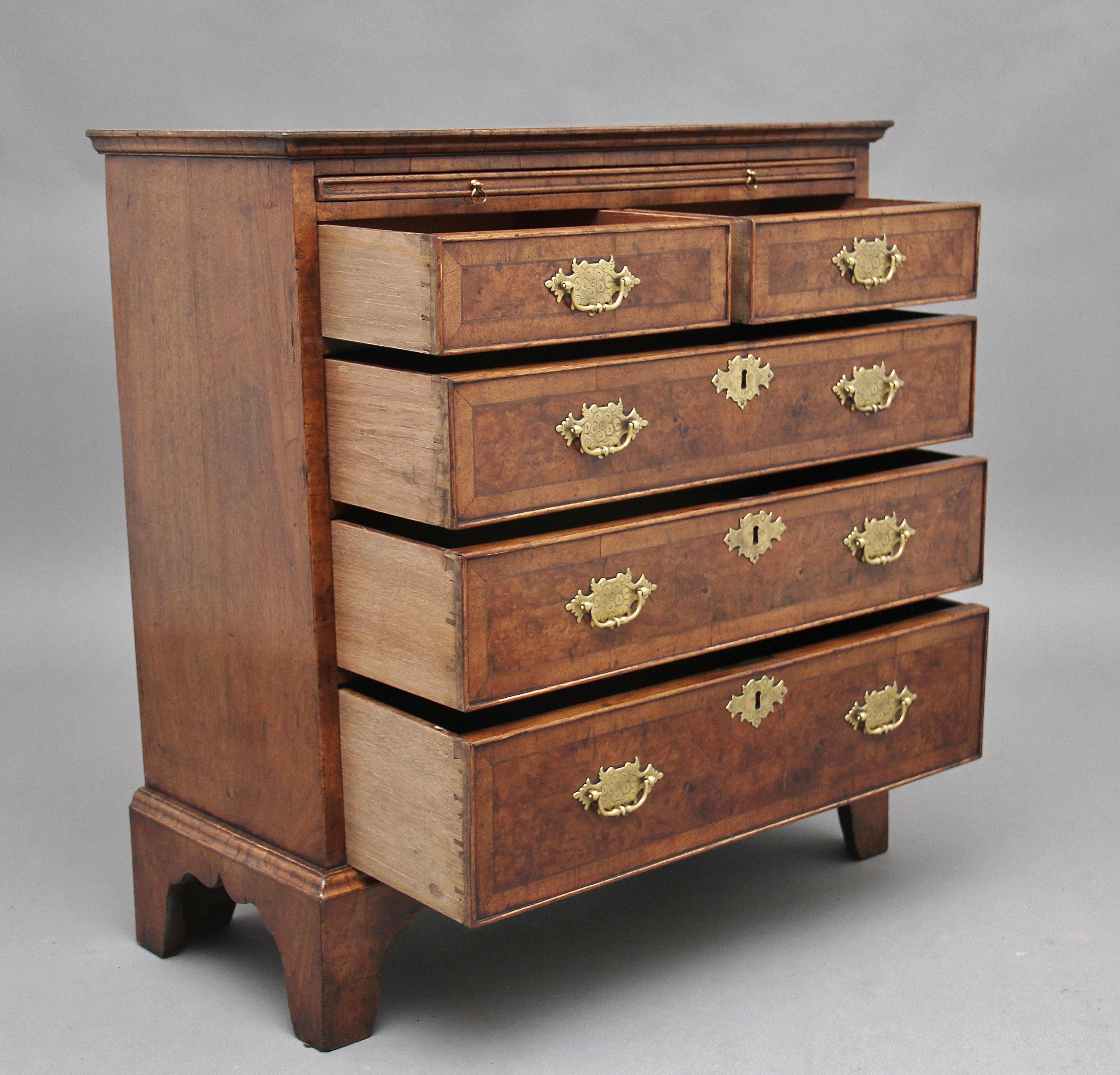 British Early 20th Century Walnut Chest of Drawers