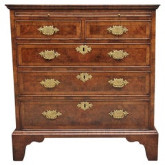 Early 20th Century Walnut Chest of Drawers