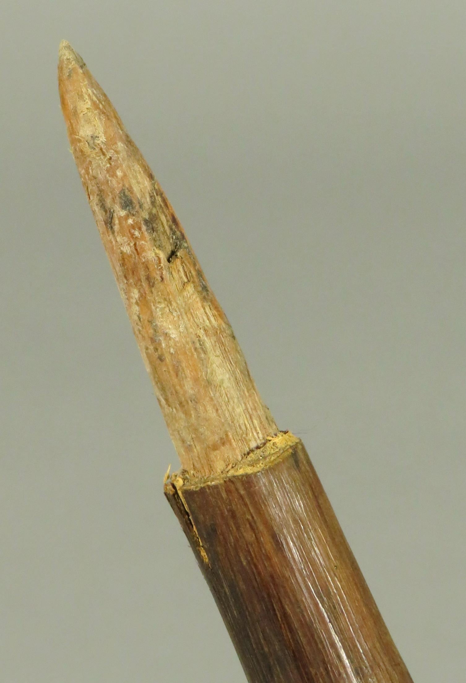 Hand-Carved Early 20th Century Papua New Guinea Fighting Pick, Lowland Rainforest