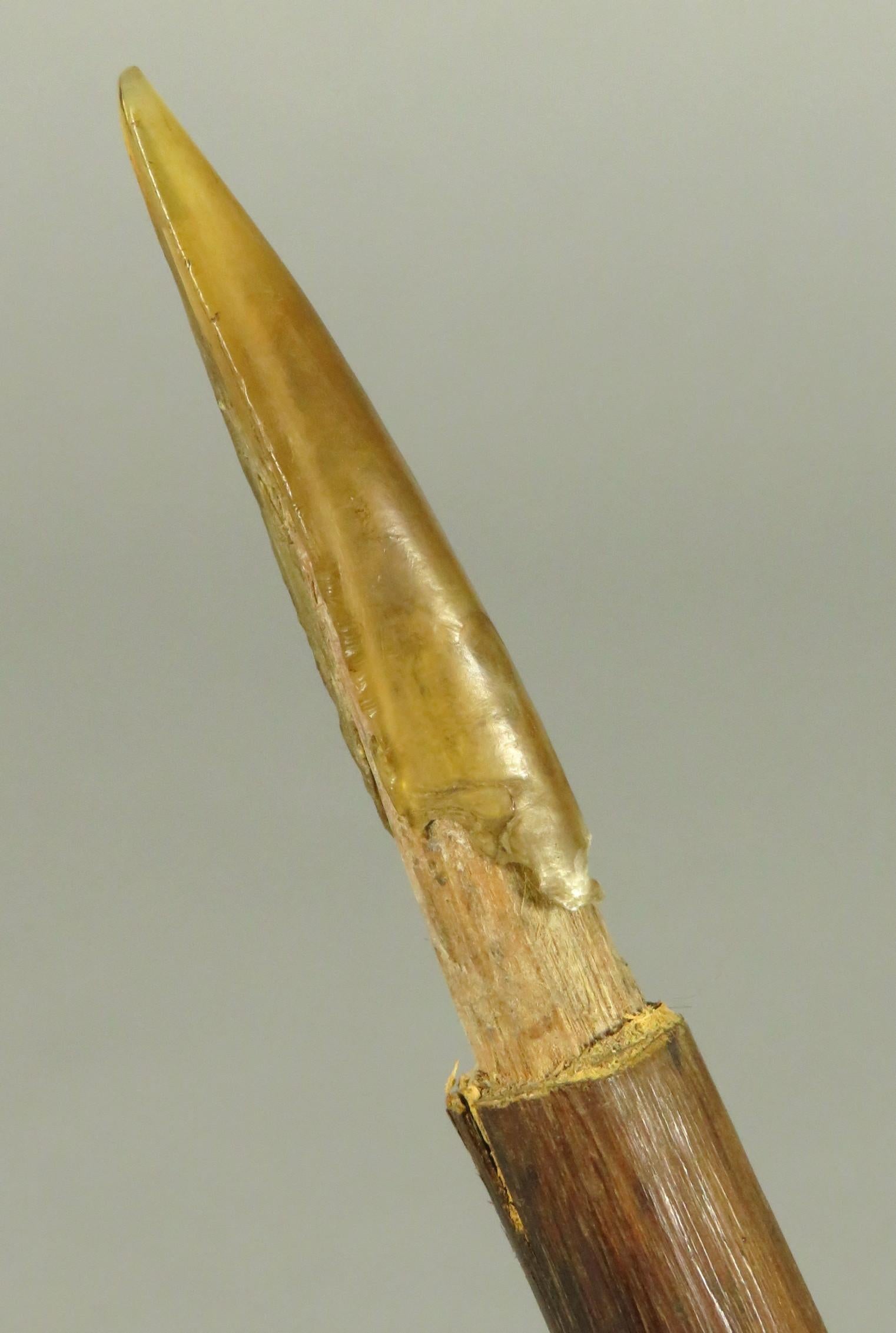 Early 20th Century Papua New Guinea Fighting Pick, Lowland Rainforest In Good Condition In Ottawa, Ontario