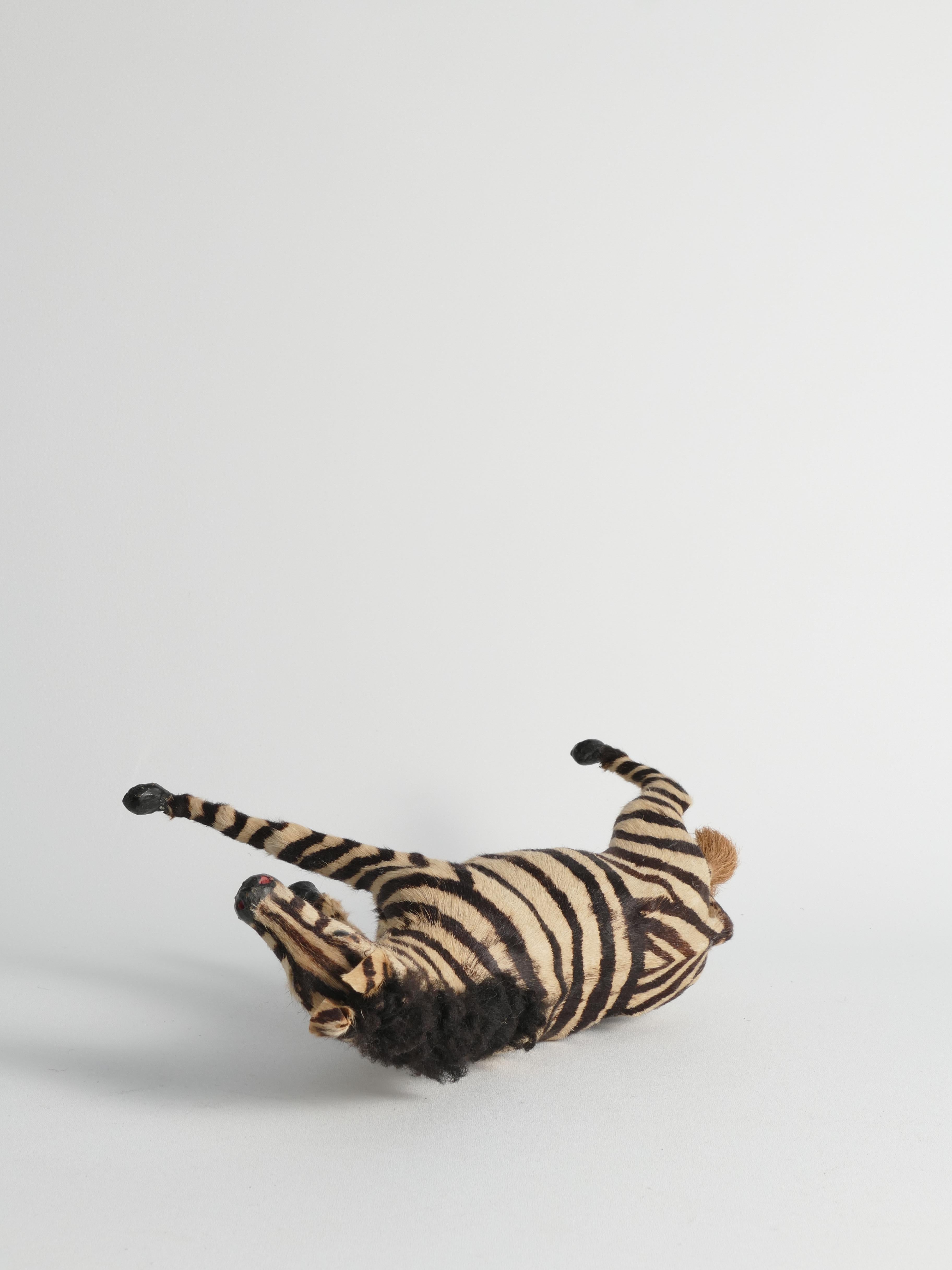 Early 20th Century Zebra Figurine For Sale 12