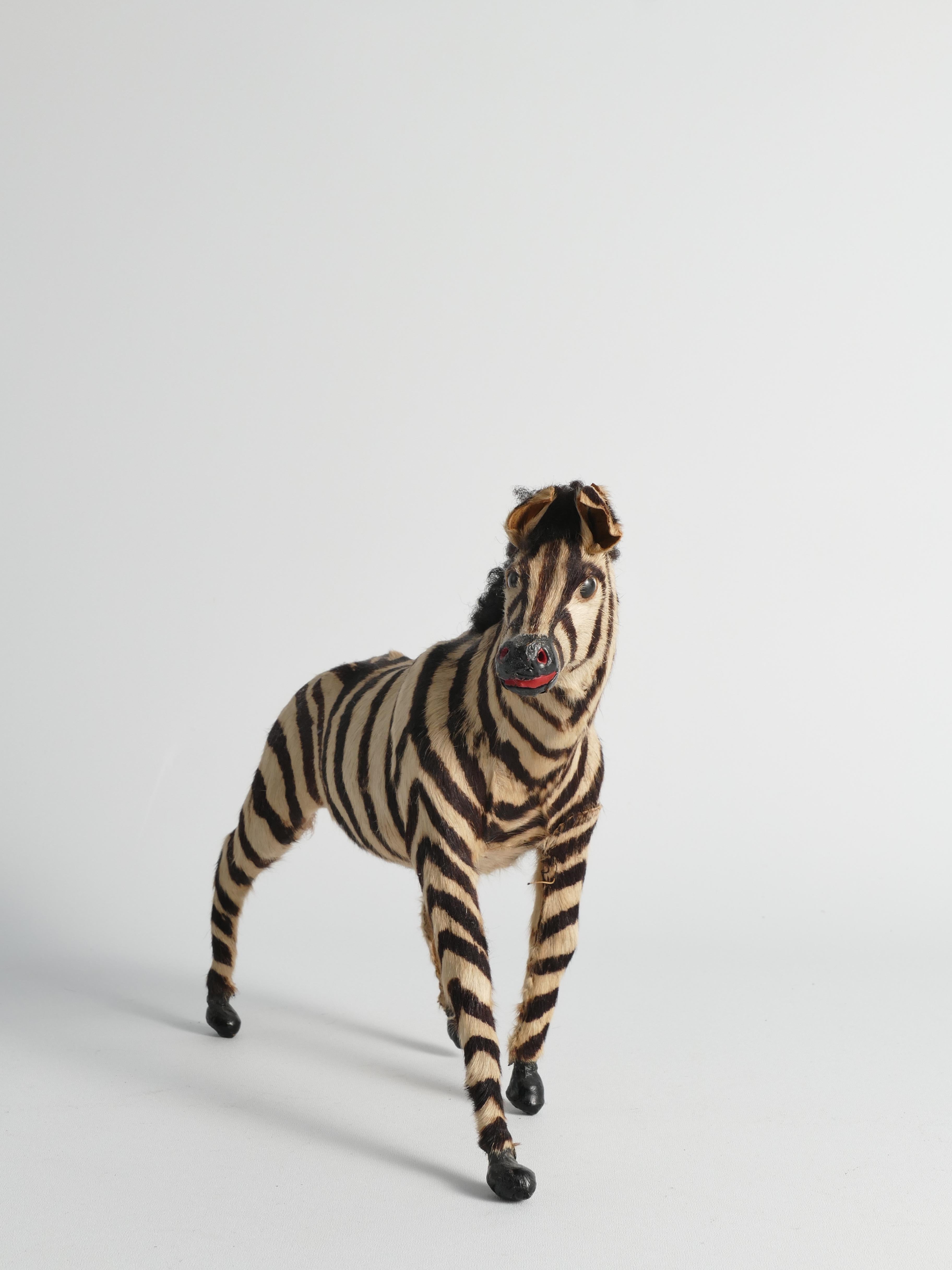 Peau d'animal Figurine zébrée du début du 20e siècle en vente