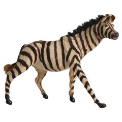Zebra Handgefertigte Taxidermie-Figur aus dem frühen 20. Jahrhundert