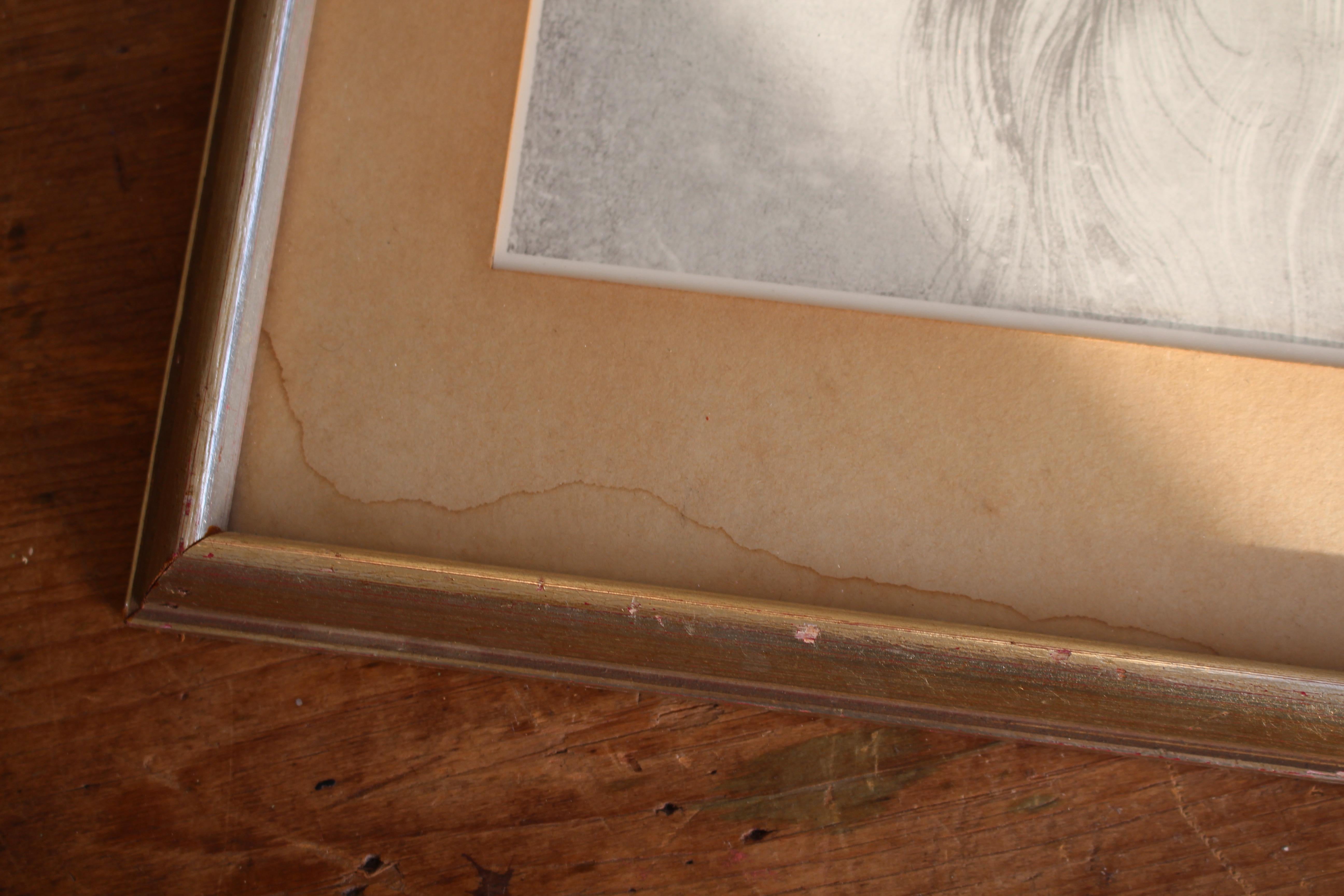 Early 20th Collection of Four Silver Gilt Framed Da Vinci Portrait Prints For Sale 4
