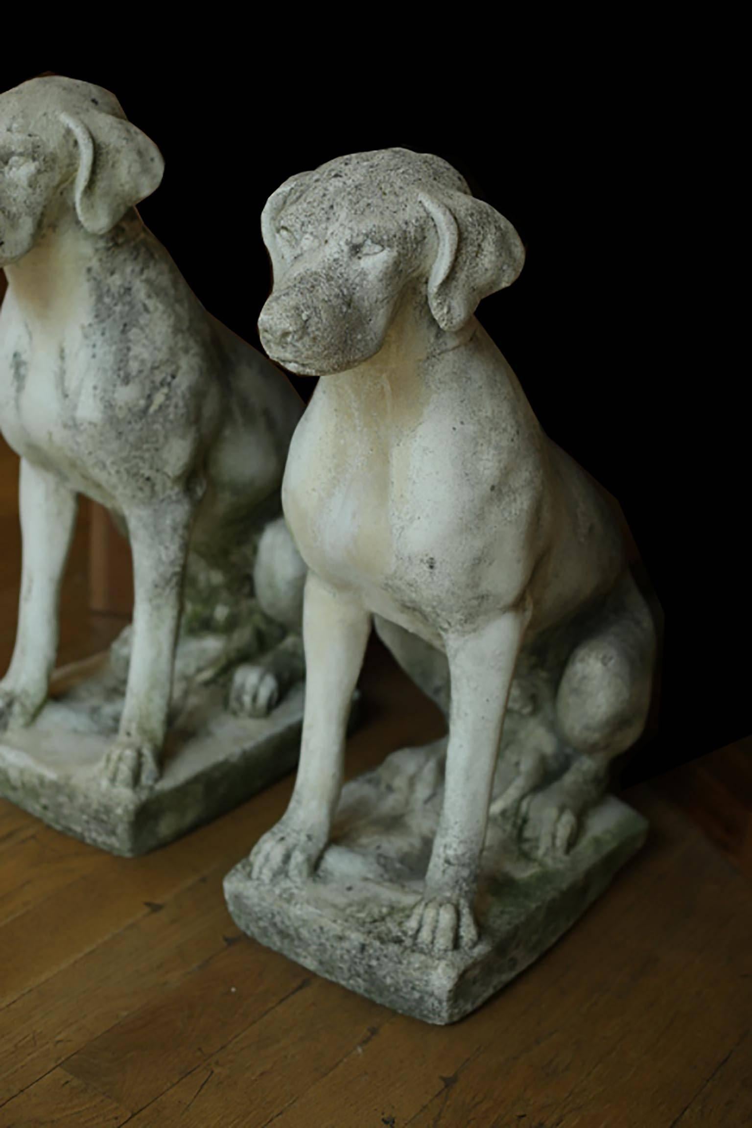 Pair of large nicely distressed cast stone garden hounds. Very heavy.