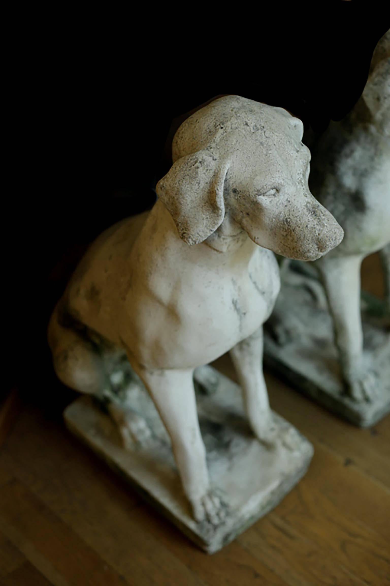 Early 20th Century Large Cast Stone Garden Hounds, circa 1910-1940 In Excellent Condition In San Francisco, CA