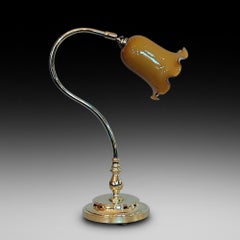 Early 20thC Brass Adjustable Desk Lamp