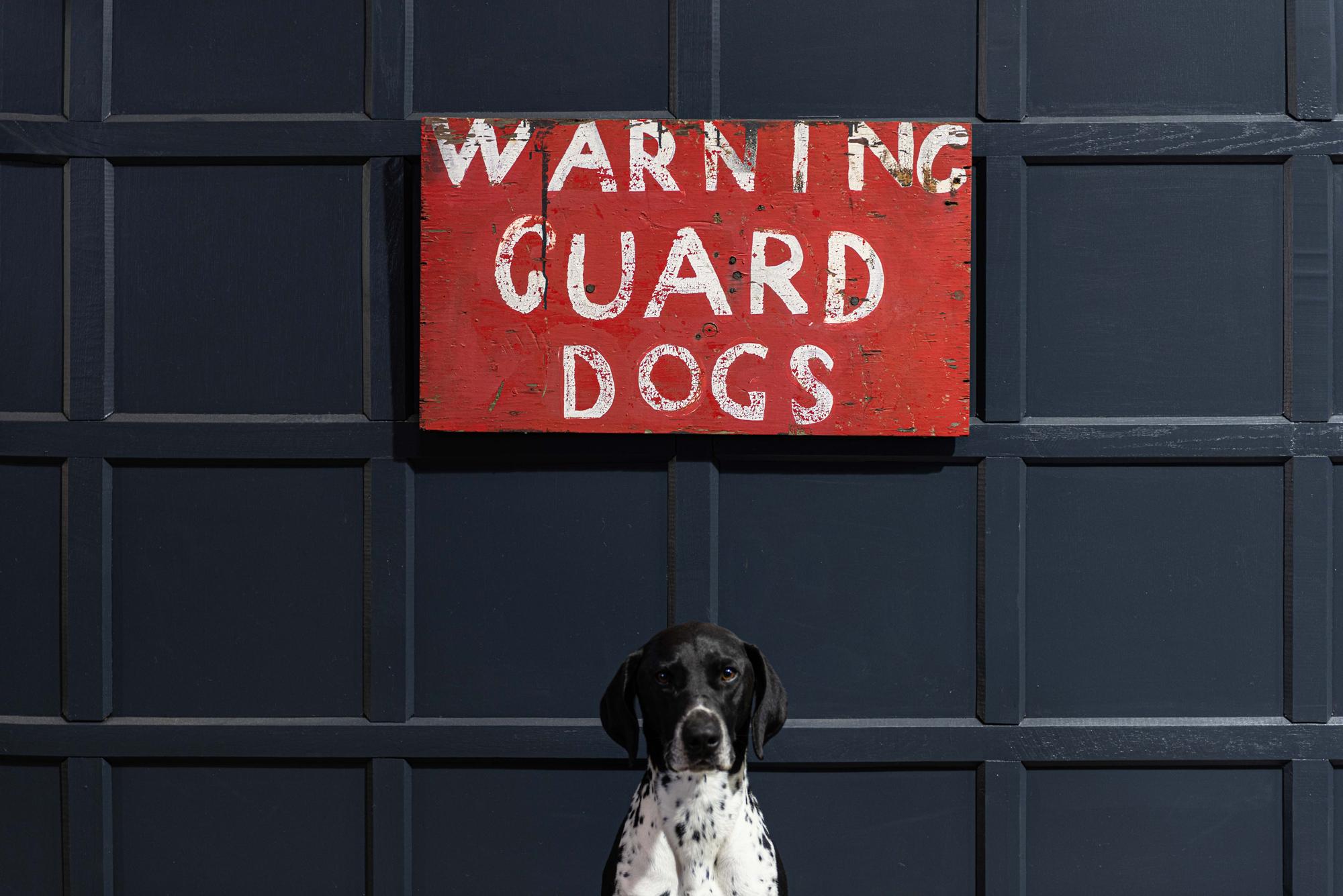 Early 20th century English hand painted sign 'Warning Guard Dogs'
circa 1940.

Hand painted sign 'Warning Guard Dogs' from a scrap metal merchants 

Measures: W 73 x H 42 x D 3cm.