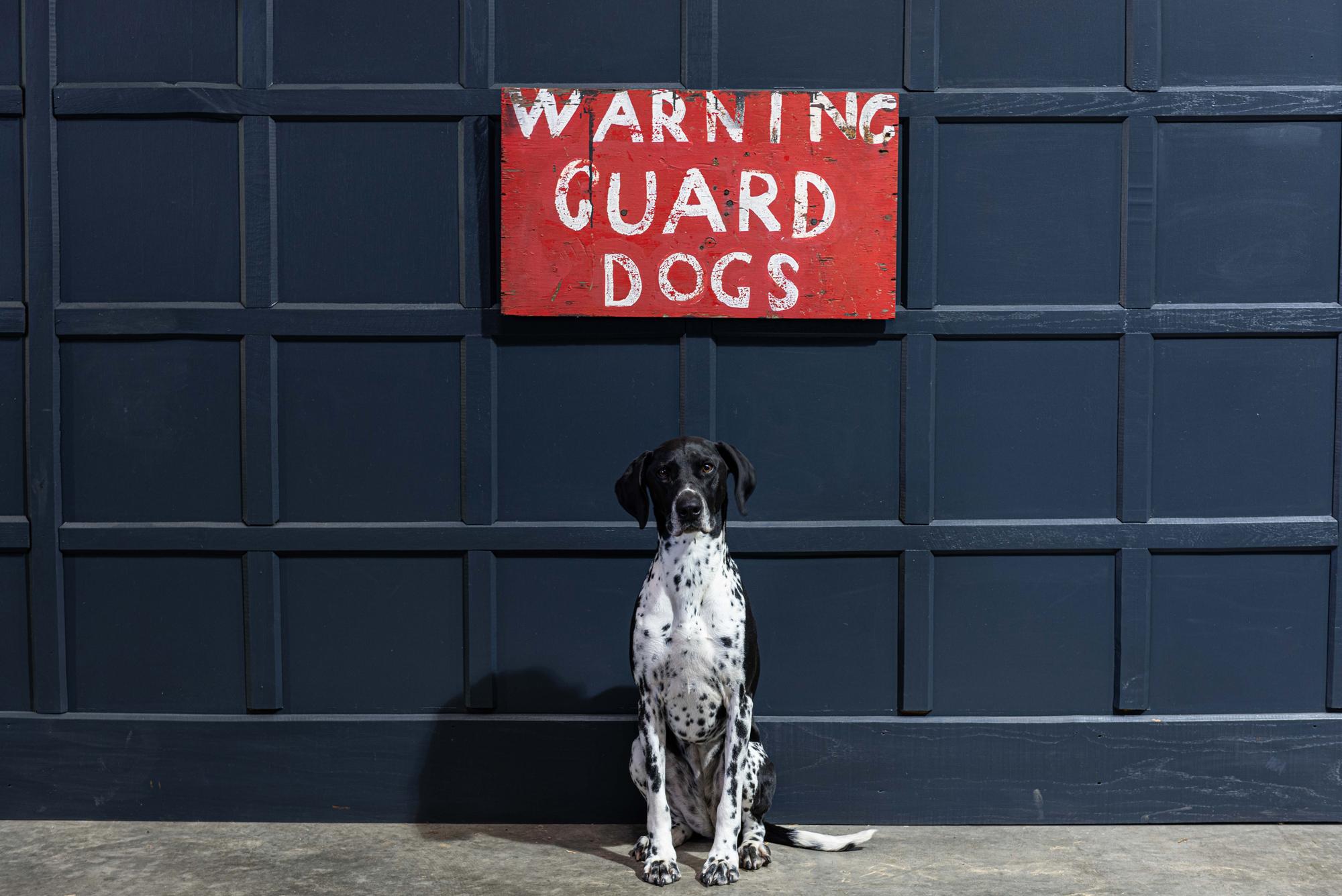 Early 20th Century English Hand Painted Sign 'Warning Guard Dogs' 2