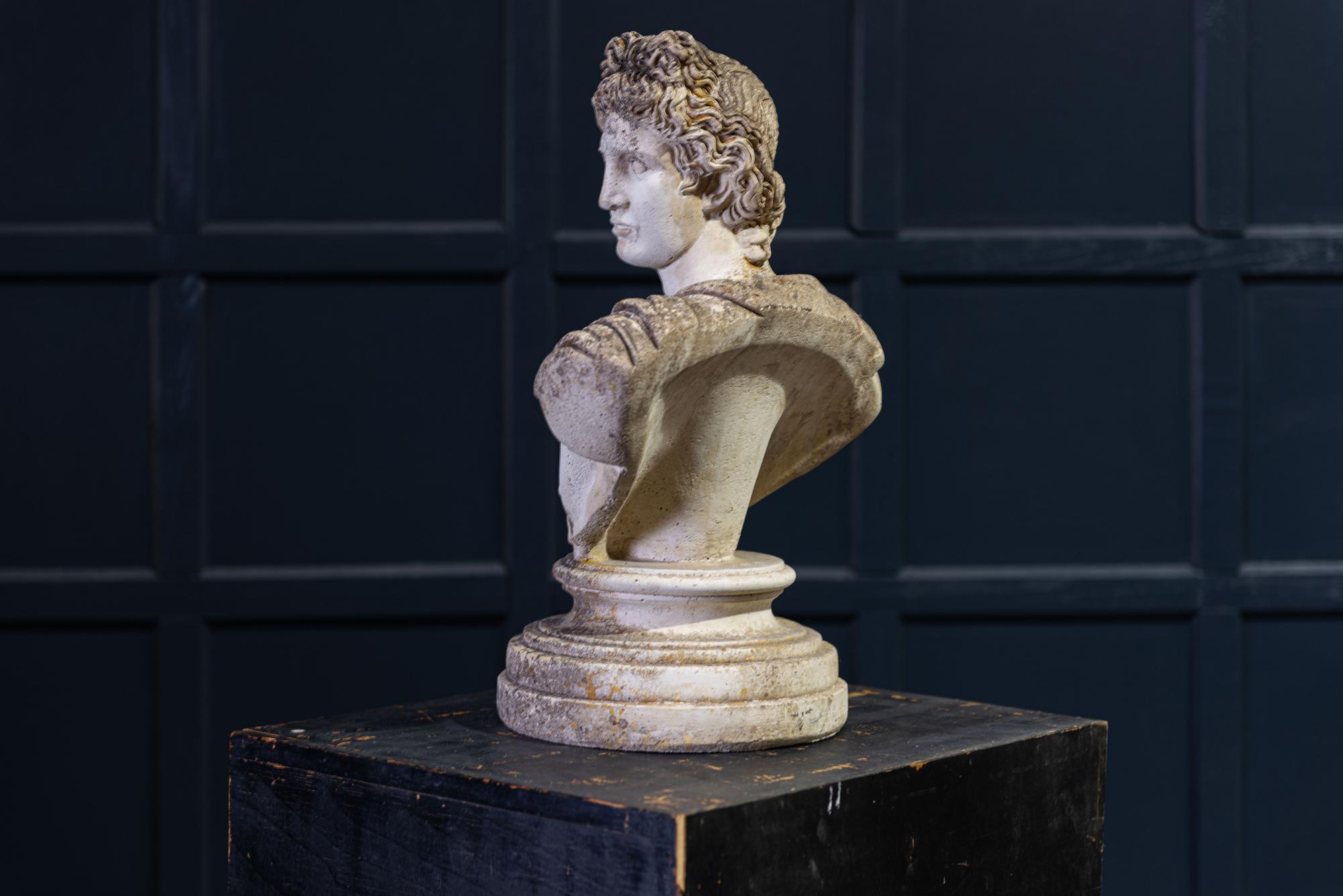 Early 20th Century English Large Stone Roman Bust 2