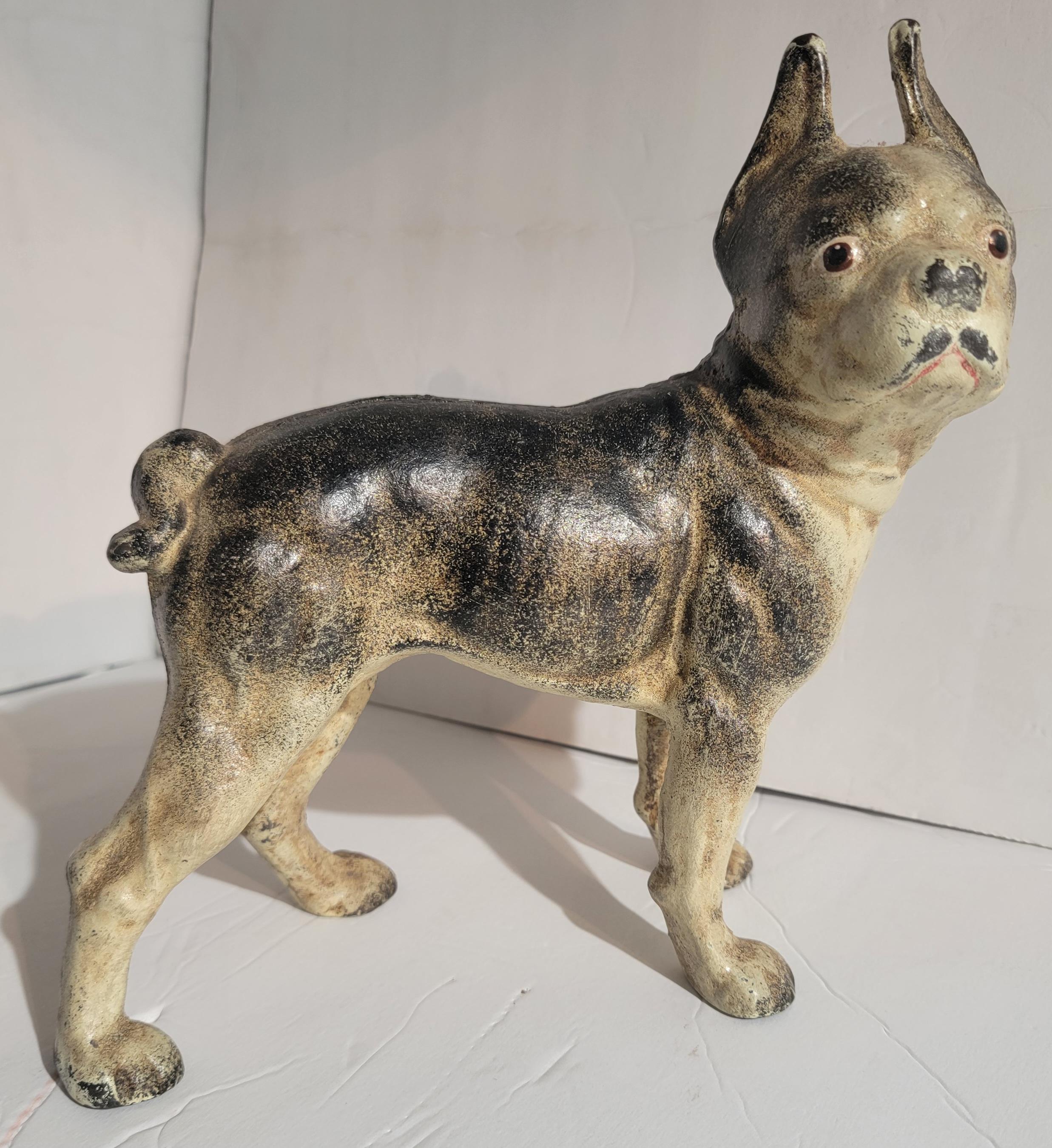 Early 20thc Hubley Boston Terrier dog door stop / bank.The paint is very good and fine condition.