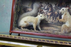 Taxidermy Pair of Red Squirrels, Decoupage Backdrop Georgian Robbery
