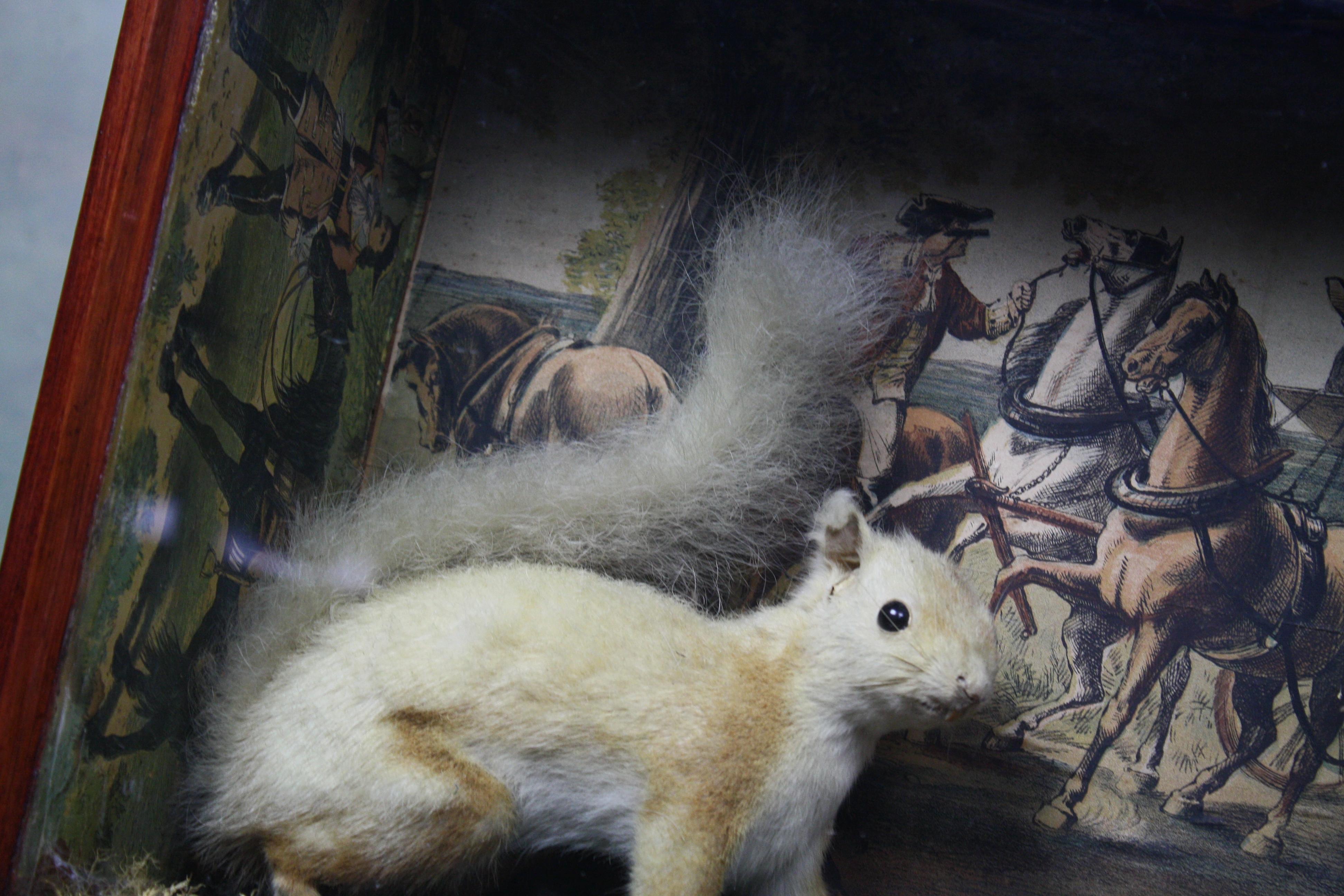 20th Century Taxidermy Pair of Red Squirrels, Decoupage Backdrop Georgian Robbery