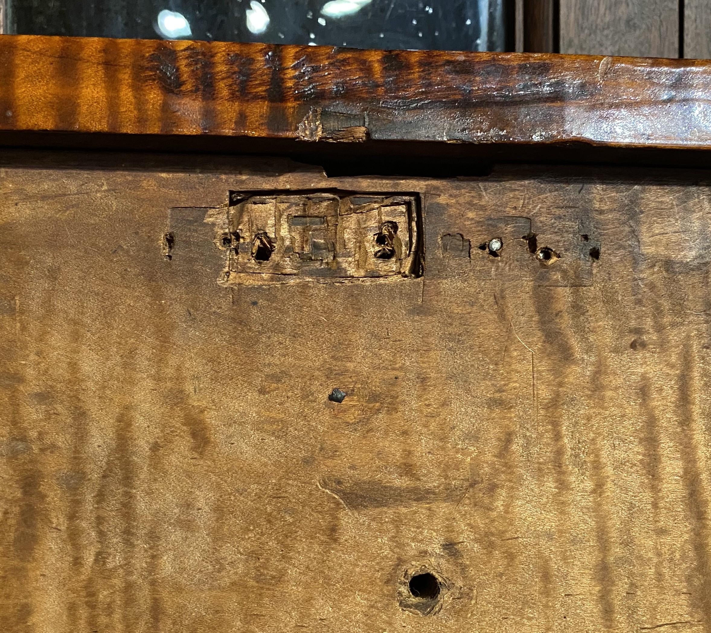 Cassapanca per coperte o cassetta per legna da ardere di Sheraton Tiger dell'inizio del XIX secolo. in vendita 9