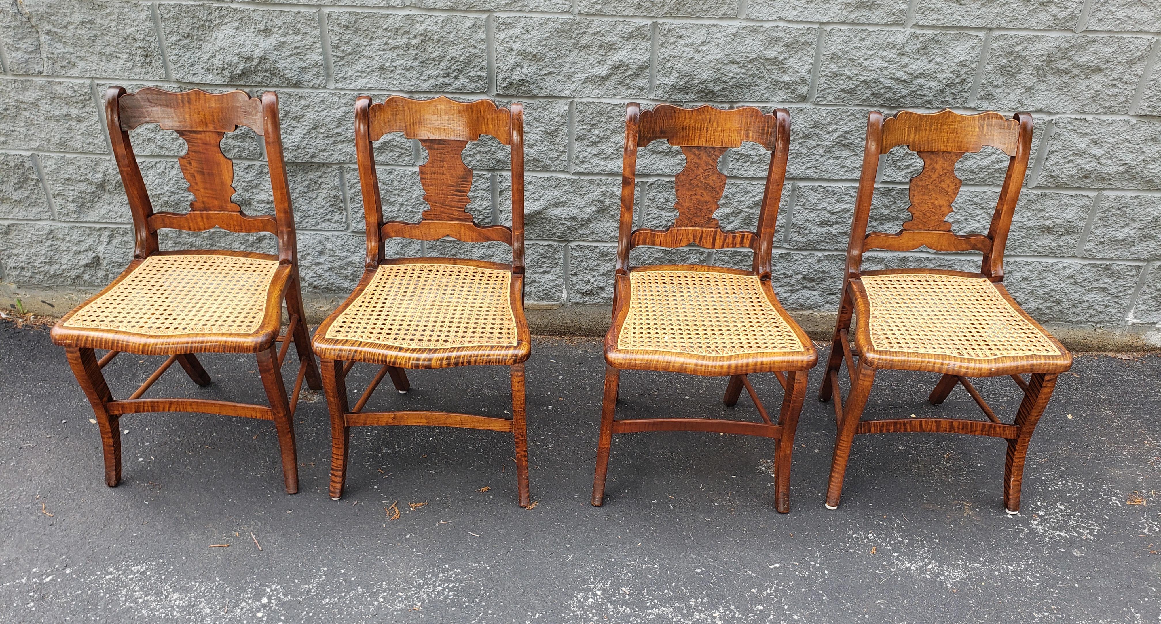 Early American Tiger Wood and Cane Seat Chairs, Set of 4 In Good Condition For Sale In Germantown, MD