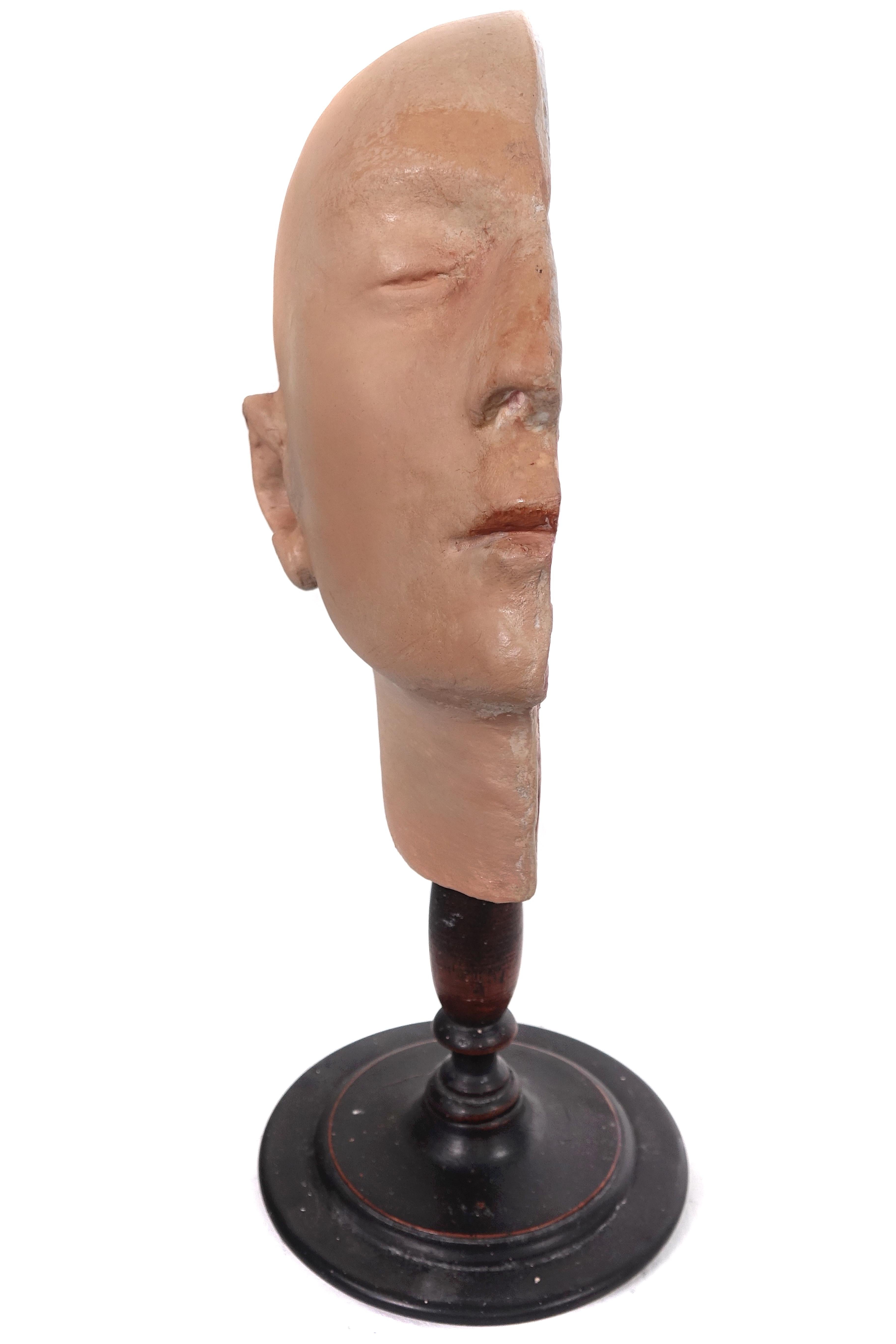 Industrial Early Anatomical Half Head Model