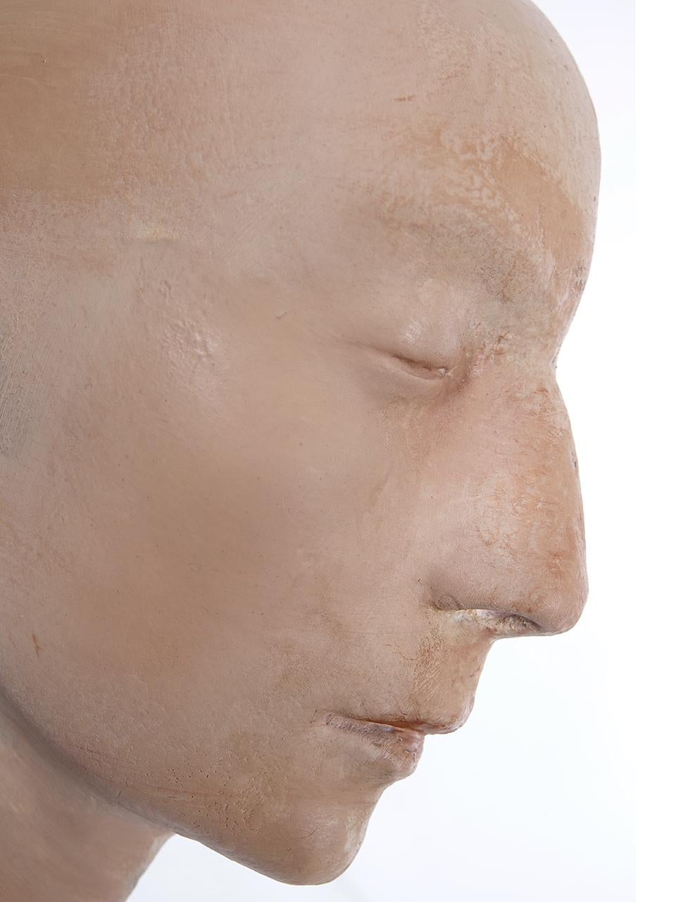 German Early Anatomical Half Head Model