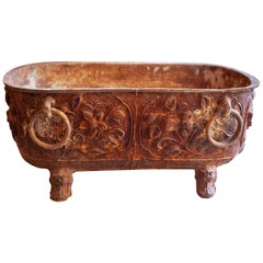 Early and Fine Chinese Iron Water Bath