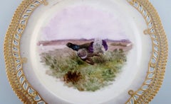 Early and Rare Royal Copenhagen Fauna Danica Plate in Hand-Painted Porcelain