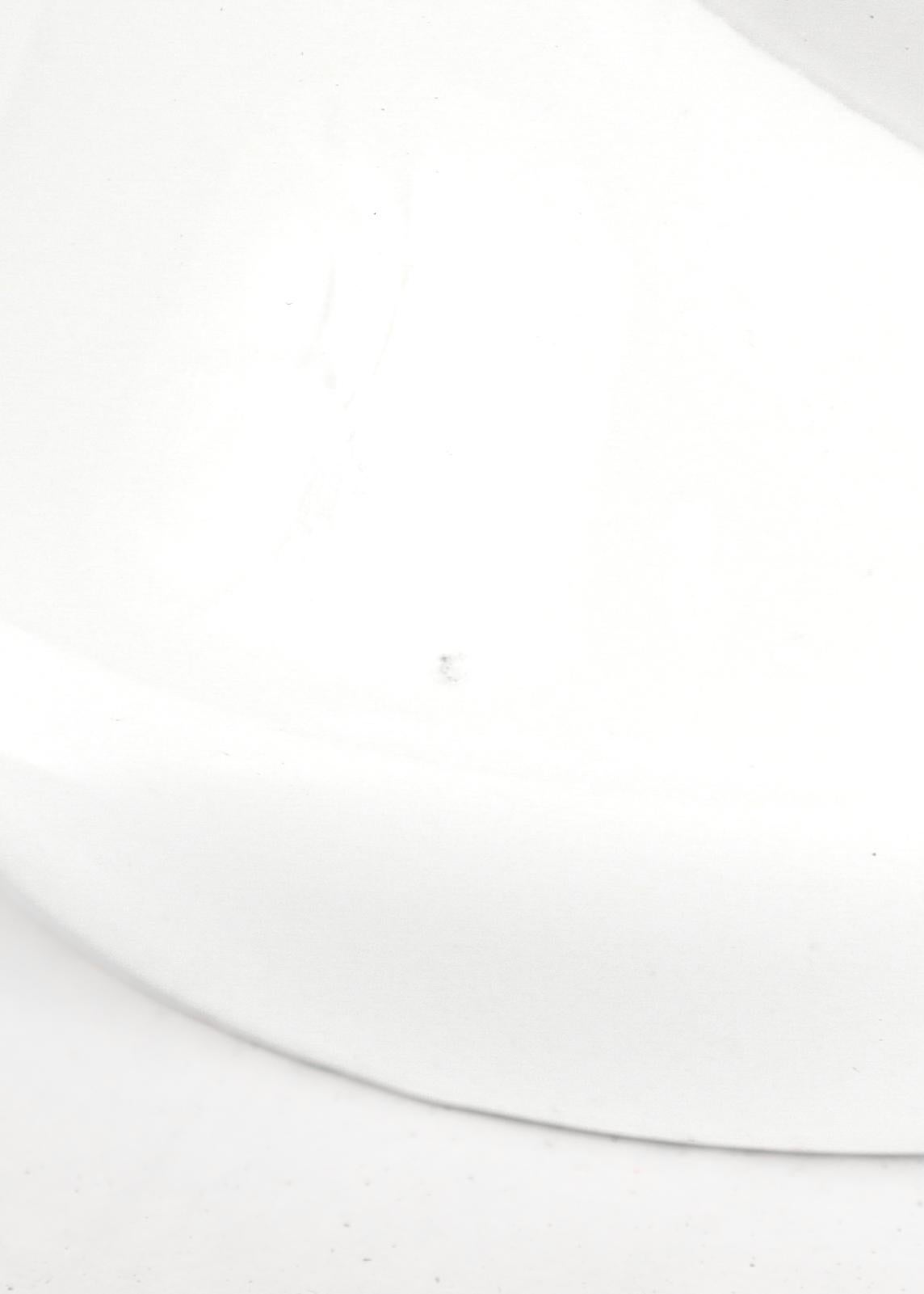 Antico vaso di porcellana Royal Copenhagen in stile Art Nouveau, con narcisi. in vendita 4