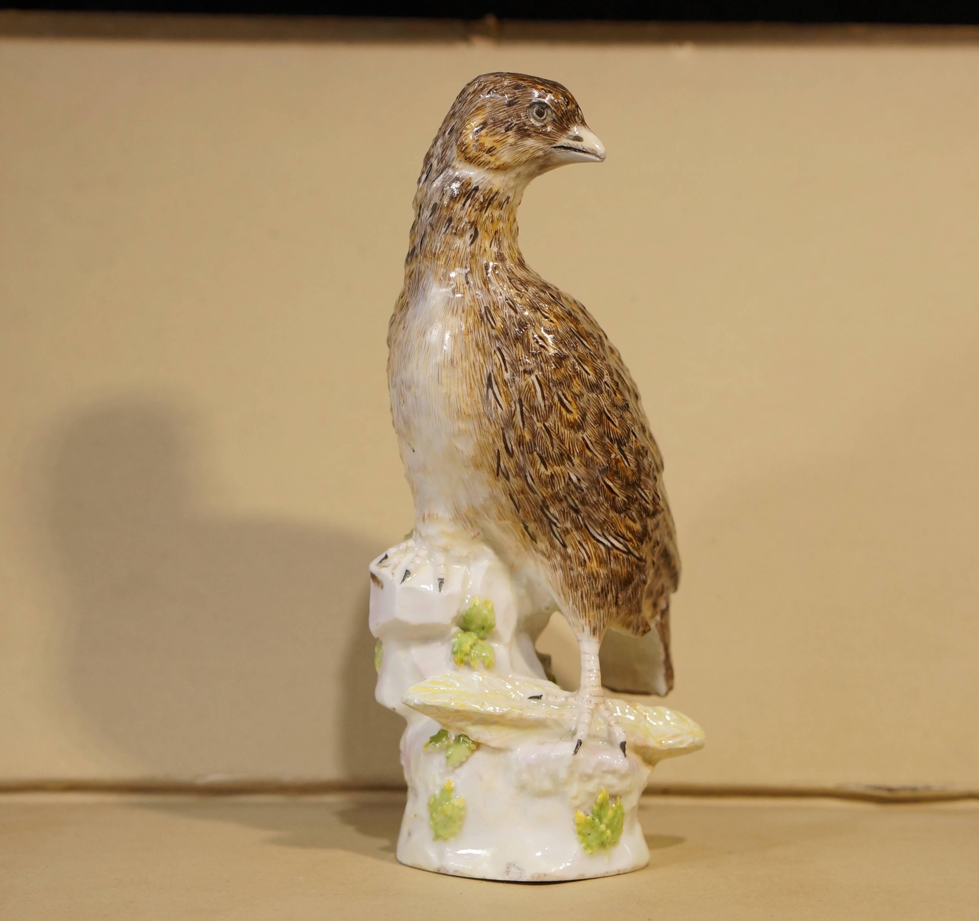 Rococo Early Berlin Porcelain Lifesize Quail, Wegely Period, circa 1755 For Sale