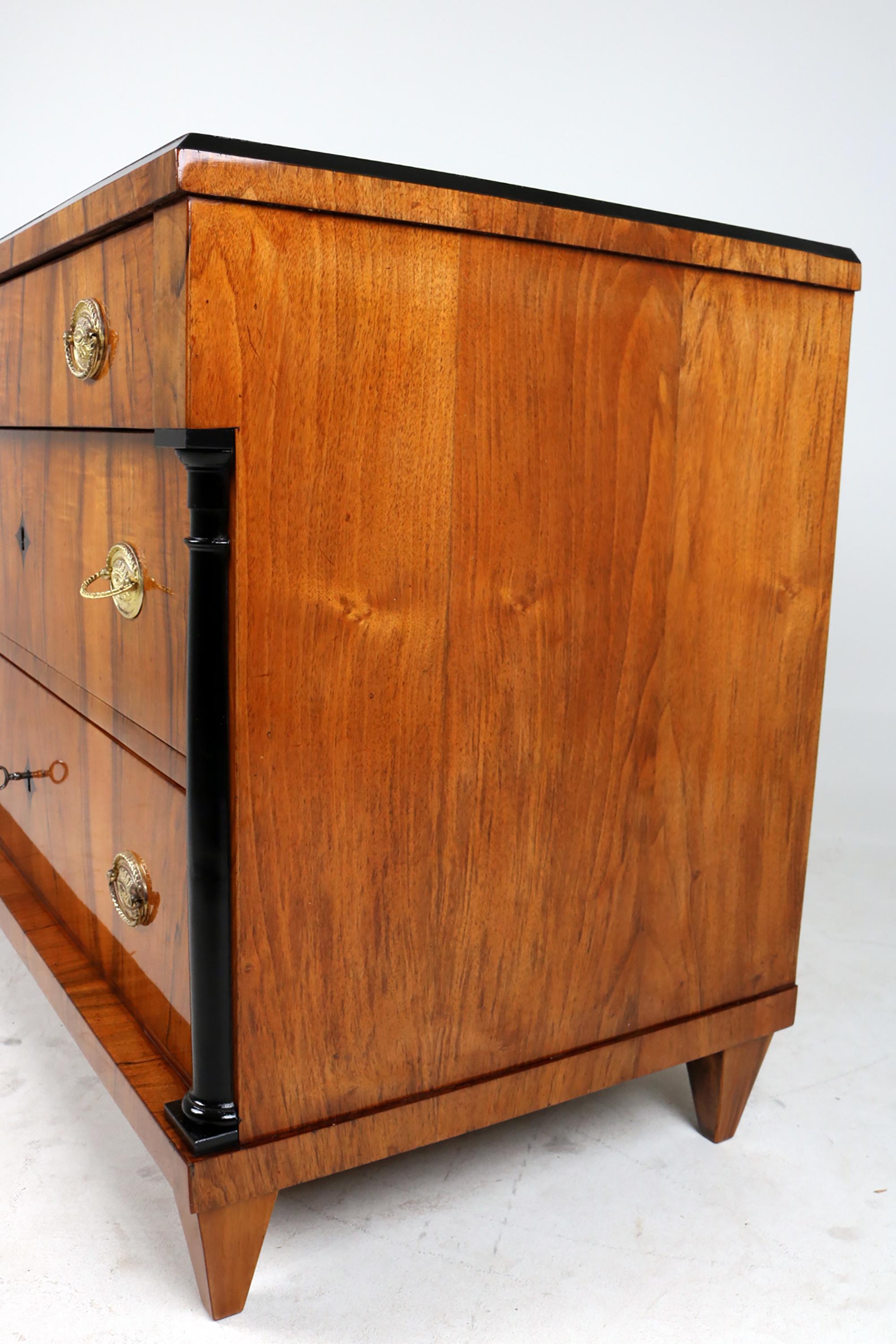 Early Biedermeier Chest of Drawers 5