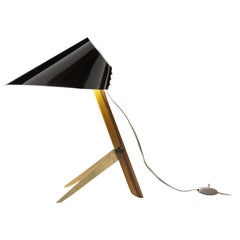 Early 'Billy TL' Table Lamp by J.T. Kalmar Austria, 1950