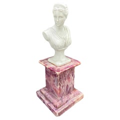 Busto de Dama en Biscuit Antiguo sobre Pedestal de Mármol Rojo Vintage