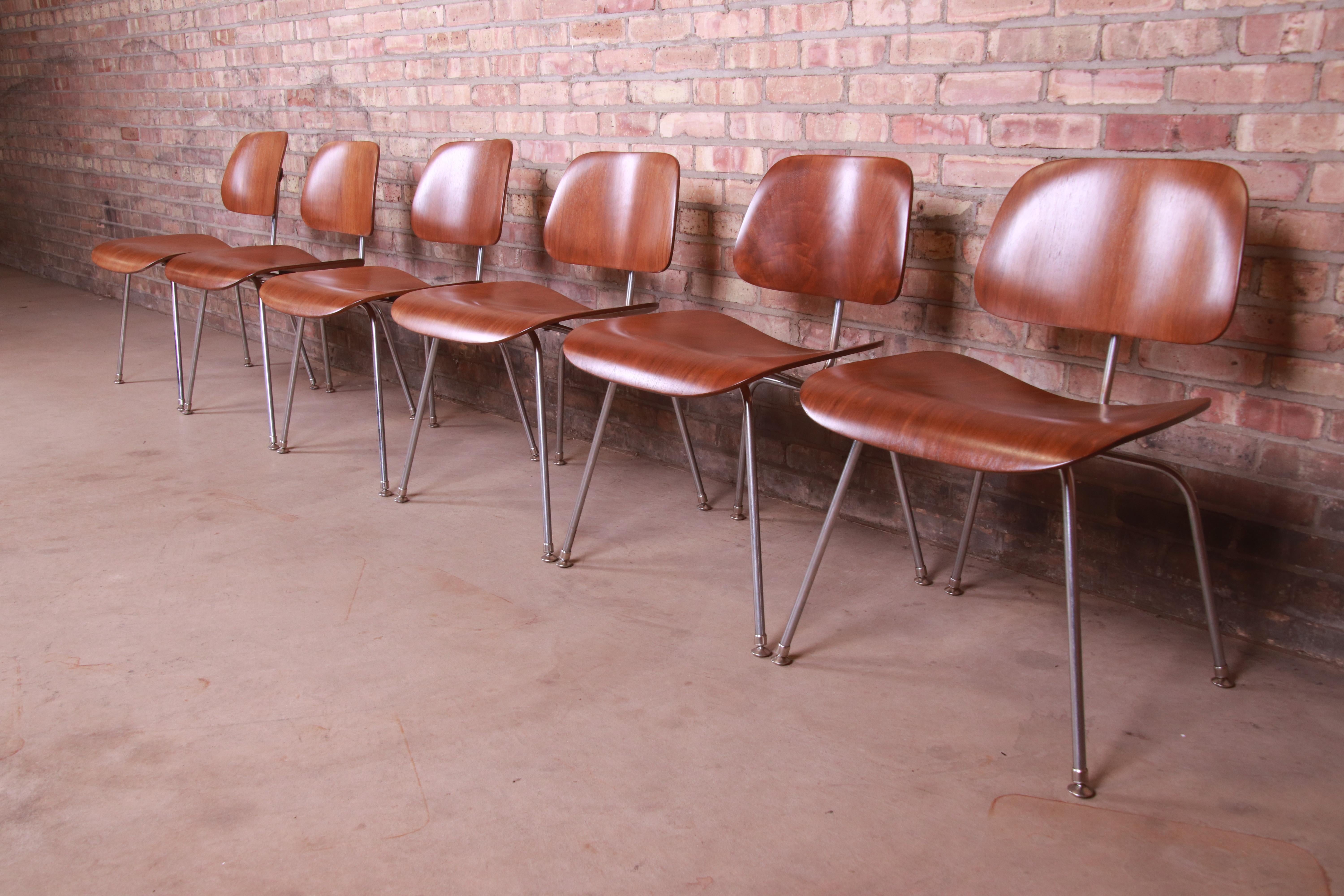 American Early Charles Eames for Herman Miller DCM Chairs, Newly Restored For Sale