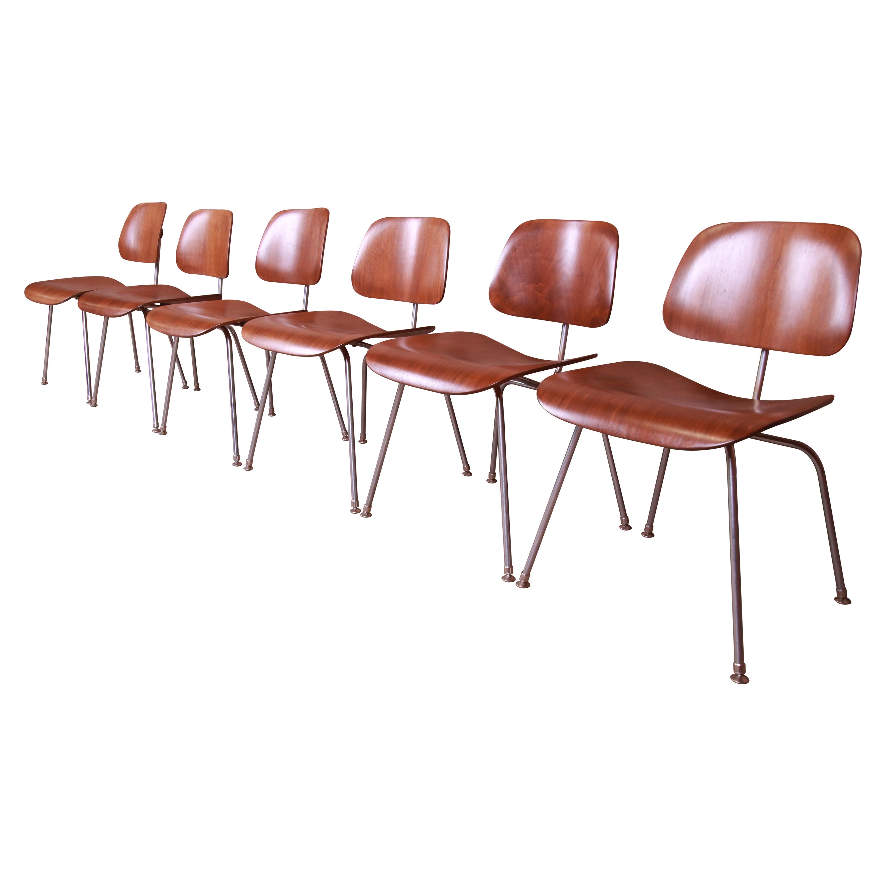 Prime sedie DCM di Charles Eames per Herman Miller, appena restaurate