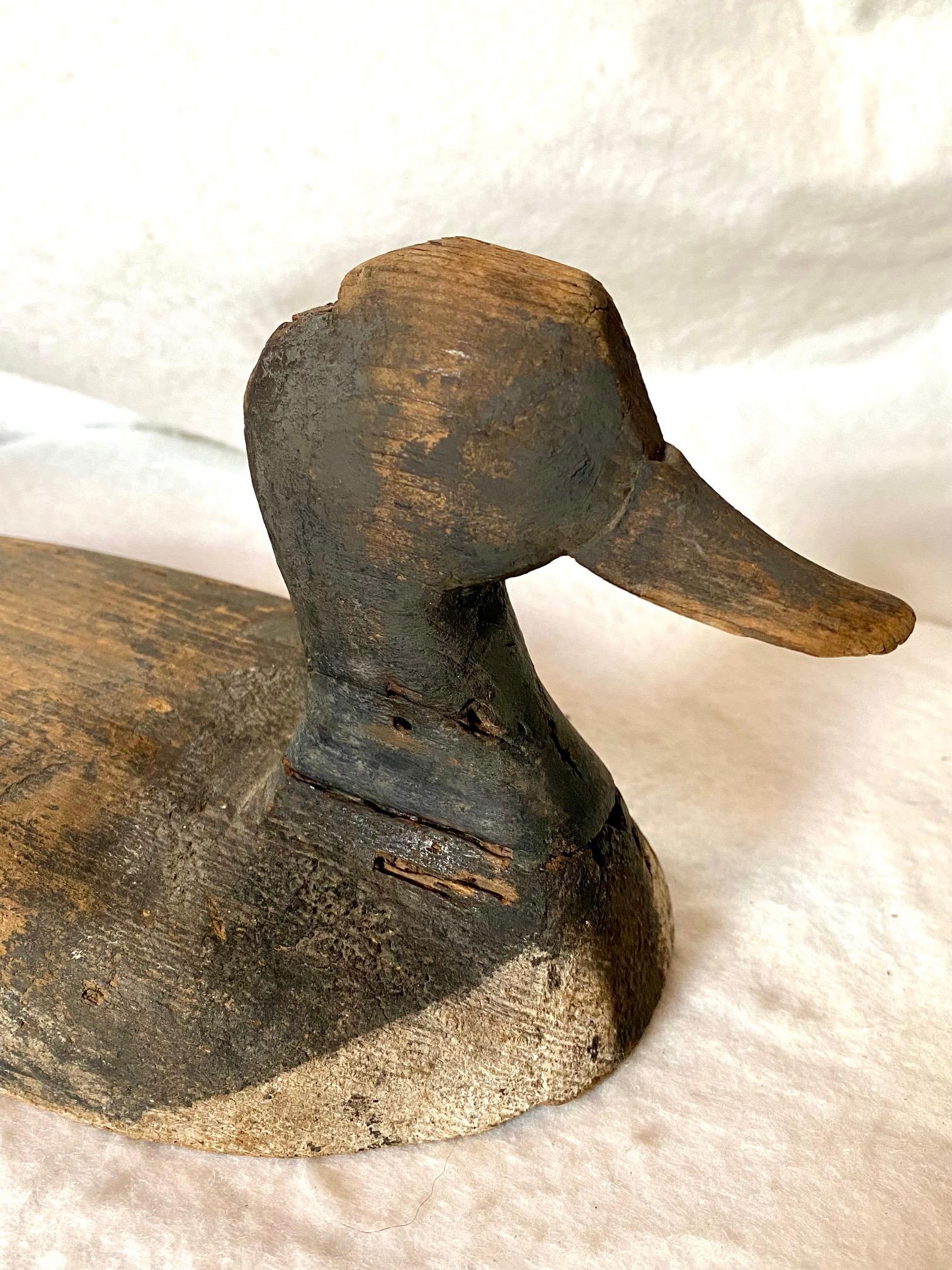 Early Chesapeake Bay Scaup Drake sink box wing decoy, possibly by Ira Hudson or family, circa 1910, a very shallow flat bodied decoy with black head, carved black bill, and black and white body. The decoy is in decent condition and very well shows