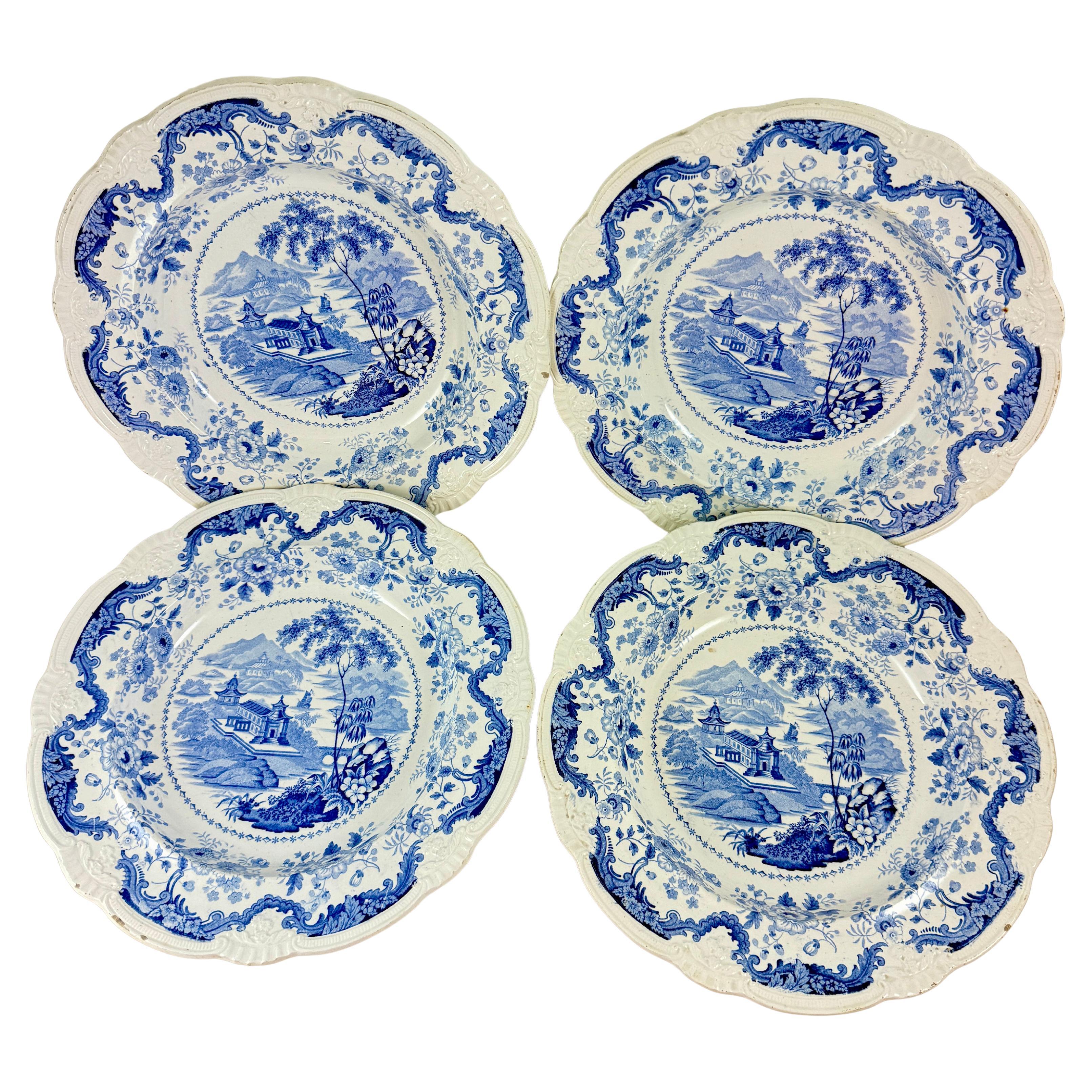 Davenport Porcelain Dinner Plates