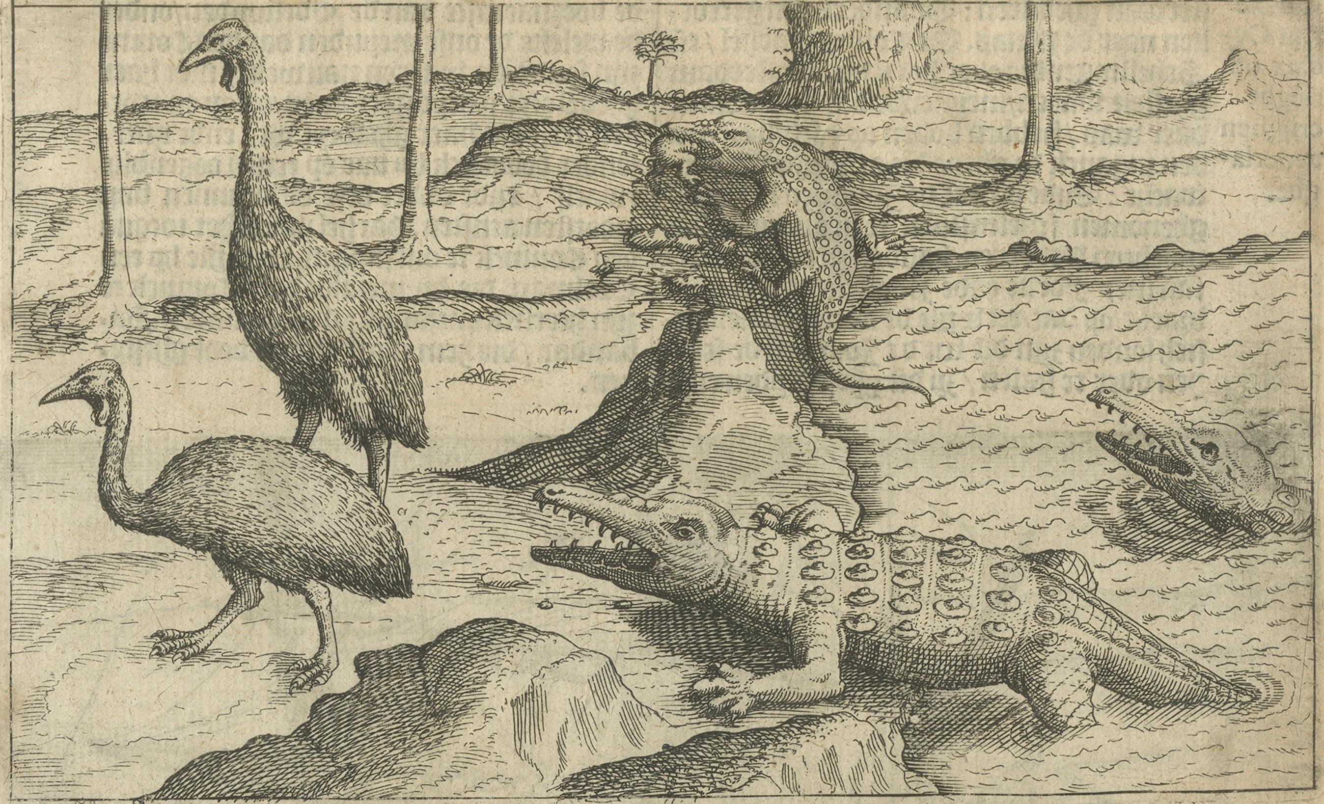 Néerlandais Scène d'exploration hollandaise précoce avec faune exotique et rencontre navale, 1611 en vente