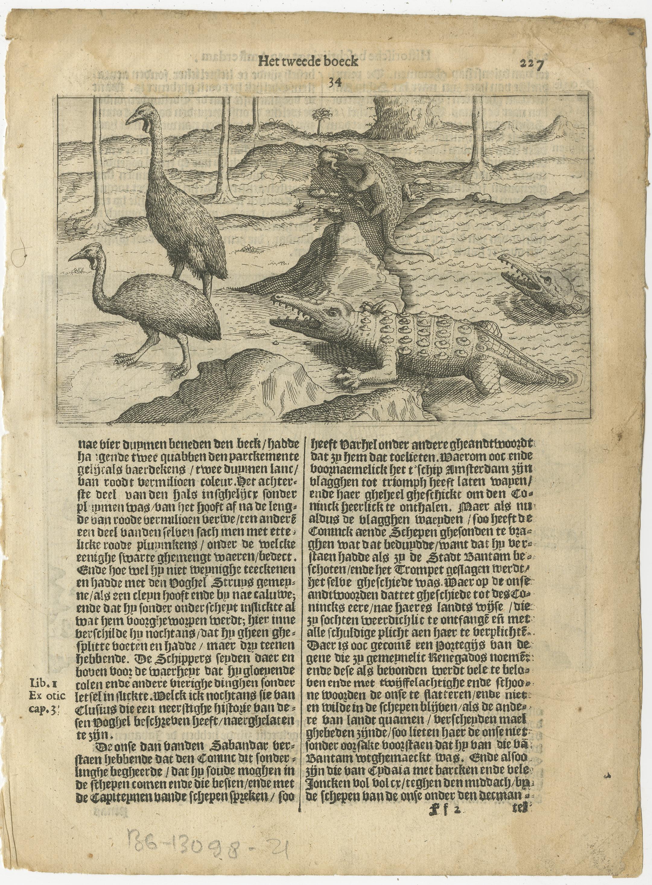 Scène d'exploration hollandaise précoce avec faune exotique et rencontre navale, 1611 État moyen - En vente à Langweer, NL