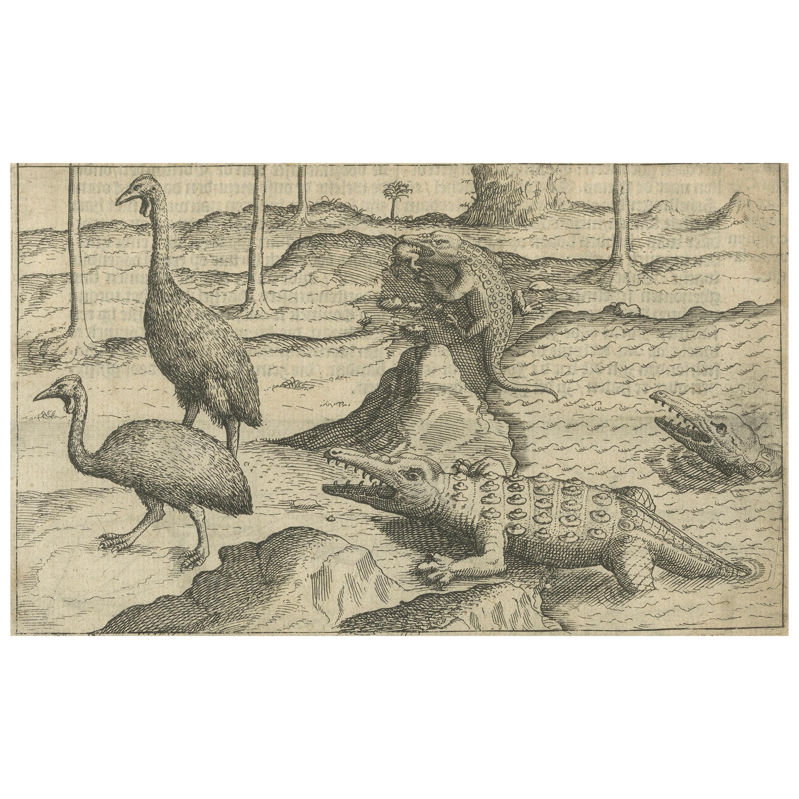 Frühe holländische Erkundungsszene mit exotischen Wildtieren und Seegefecht, 1611