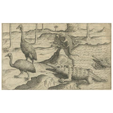 Early Dutch Exploration Scene with Exotic Wildlife and Naval Encounter, 1611