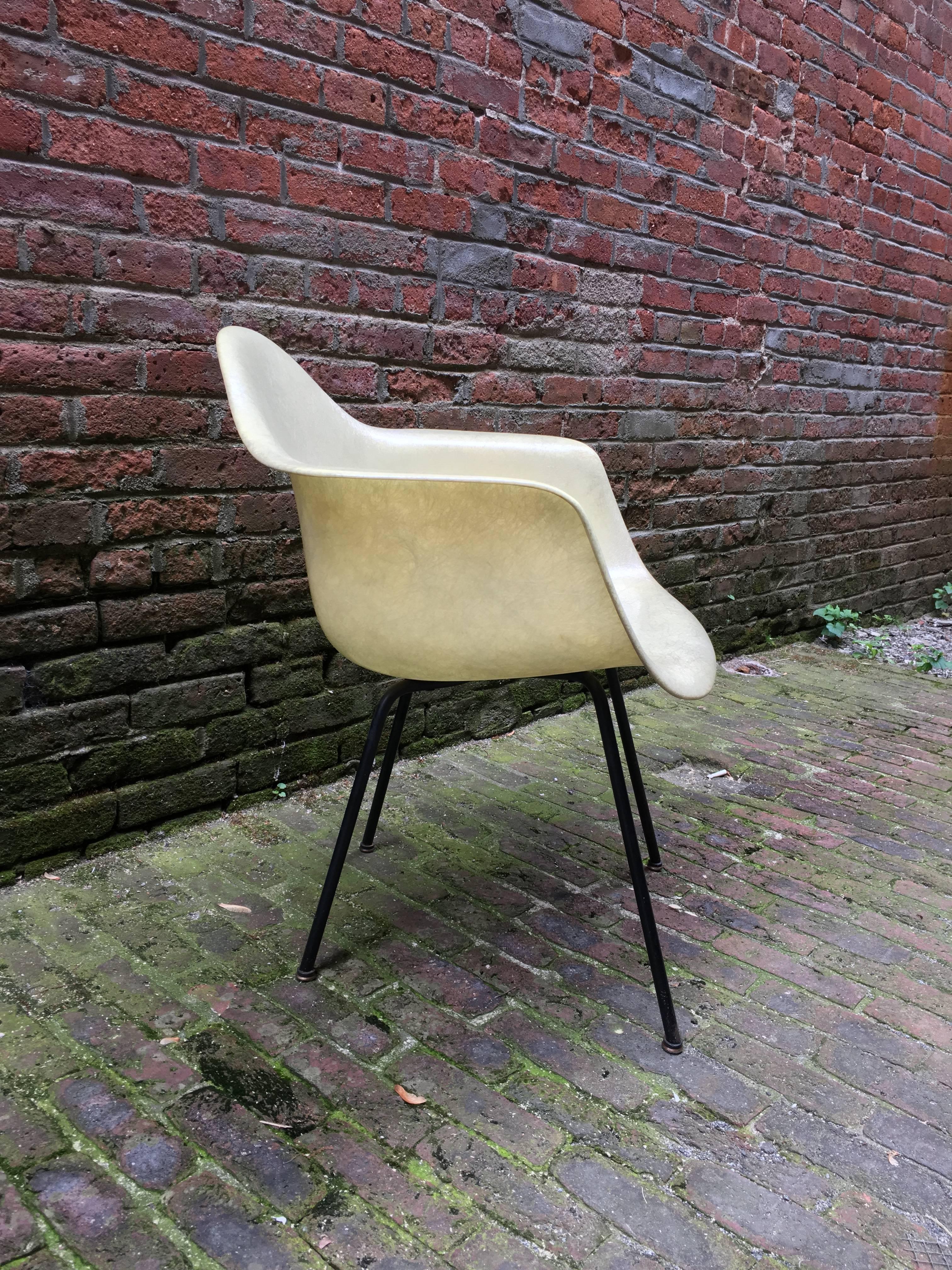 Early Parchment Eames rope edge DAX fiberglass shell chair, circa 1956-1959. Very good original condition with some shock mount bleed and some minor paint loss on the legs. Unsigned. Retains all its original glides. Measures: Seat height is 17