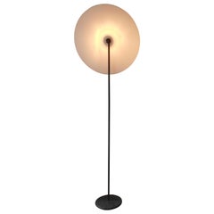 Minimalist Lighting
