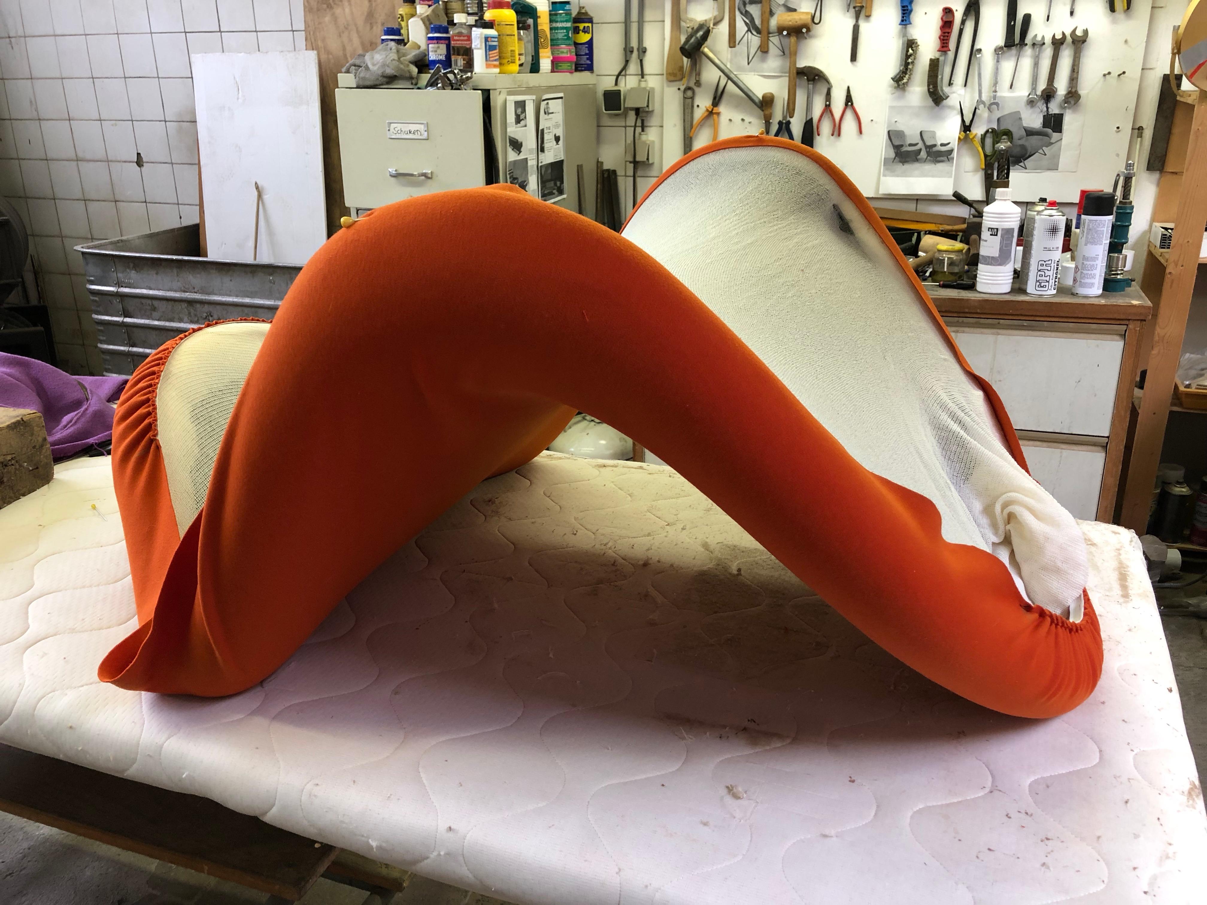 Paire de Tongue Chairs F577 en édition ancienne par Pierre Paulin pour Artifort:: 1967 13