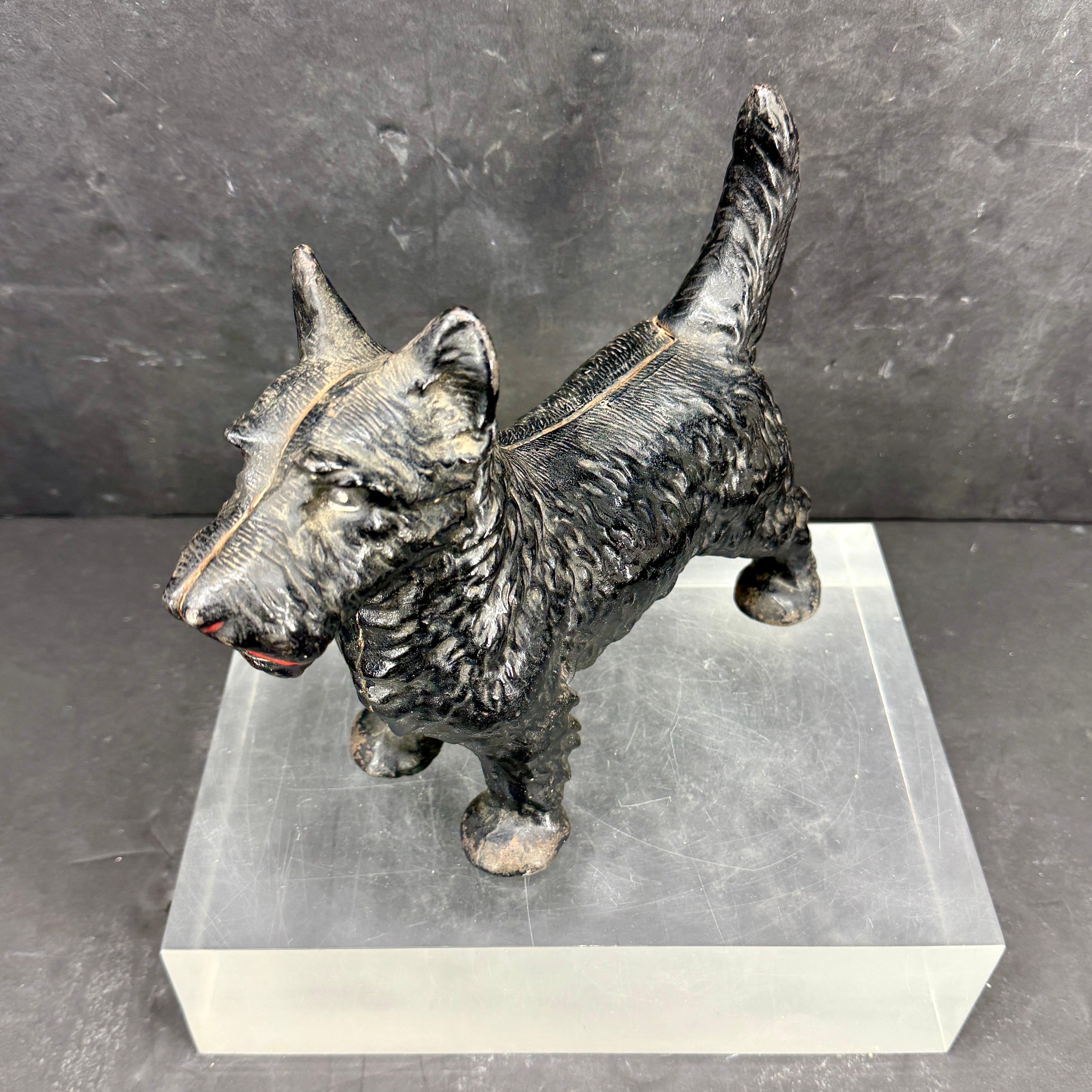Scultura in ghisa di un terrier fermaporta con vernice originale. Fantastica patina sul fermaporta con grande età e usura. Splendida aggiunta a una collezione esistente di questi fermaporta vintage.