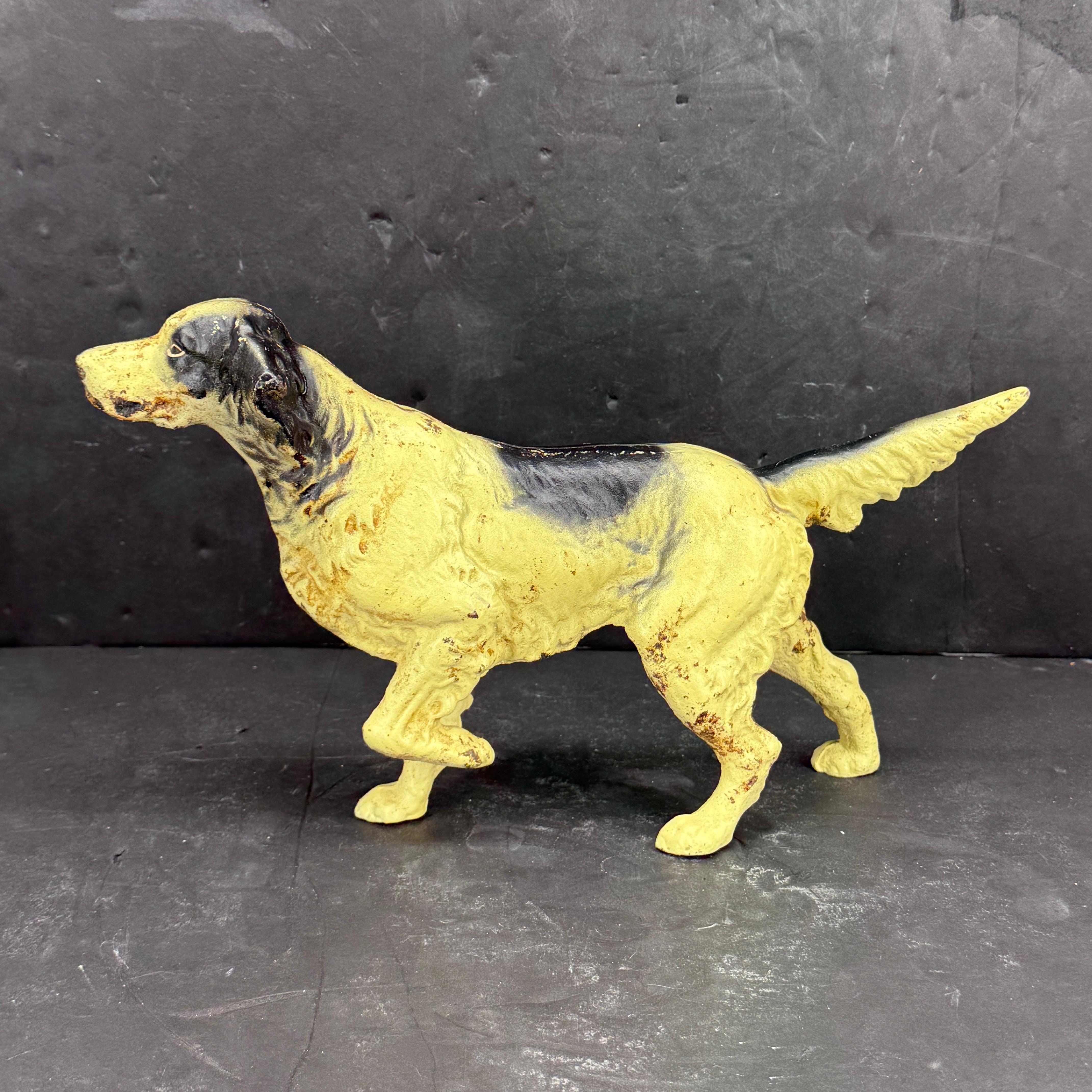 Fermaporta in ghisa inglese degli anni '30 raffigurante un cane pointer setter con vernice originale. Questa scultura presenta una patina fantastica, con un'età e un'usura eccezionali. Splendida aggiunta a una collezione esistente di questi