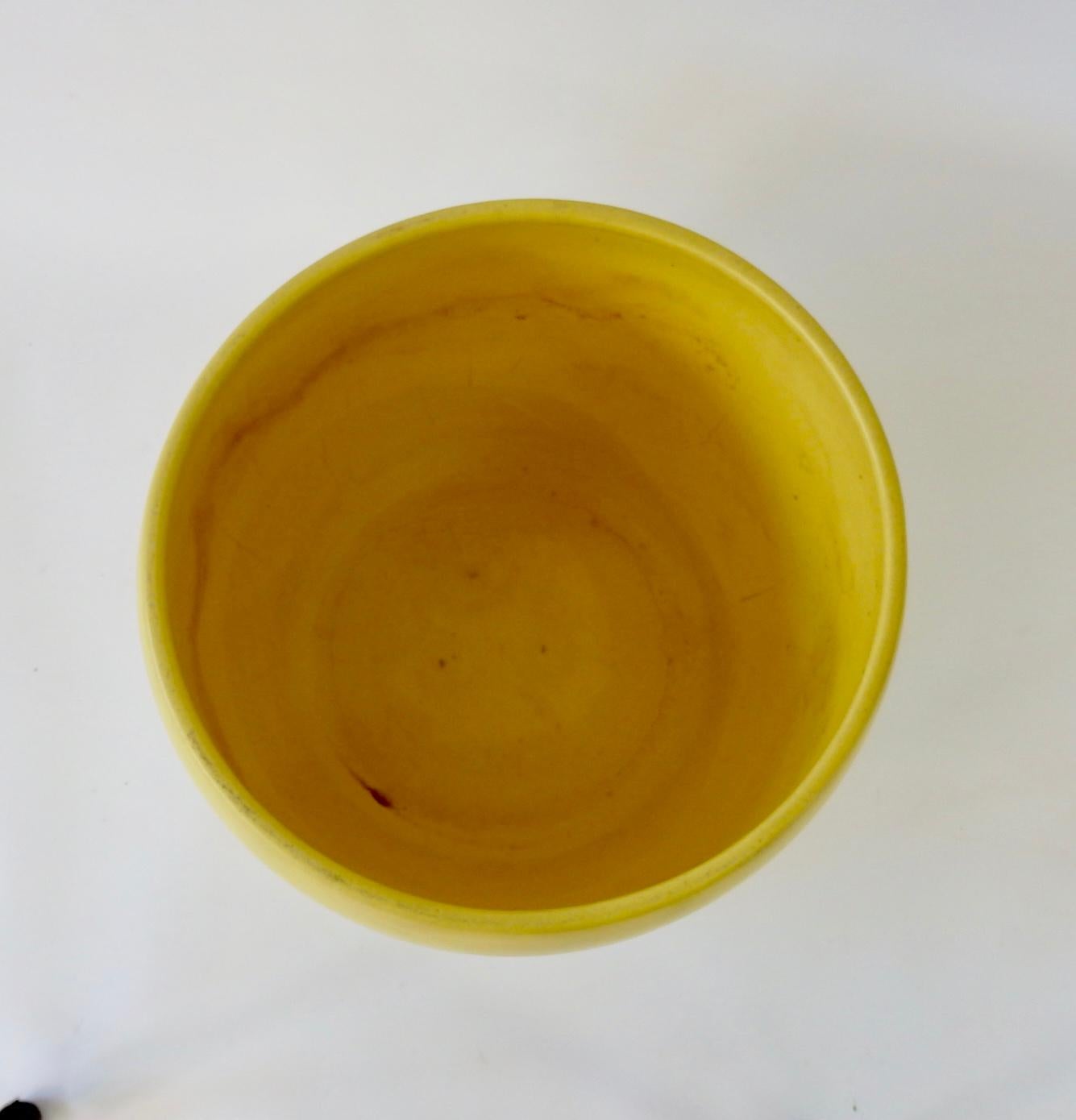 large yellow pot
