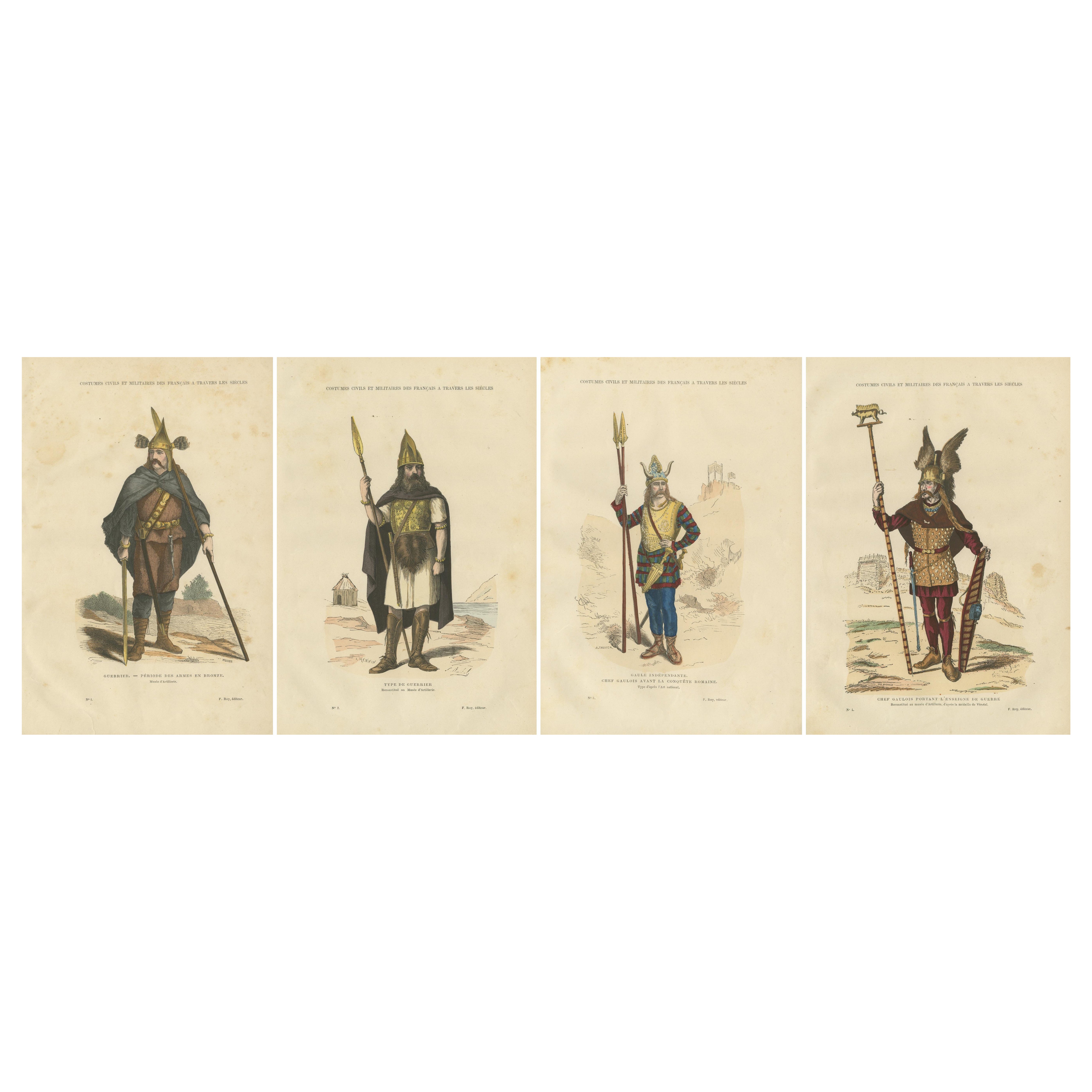 Guerrieri e capi della Gallia, dall
età del bronzo alla Francia preromana, 1860 ca.