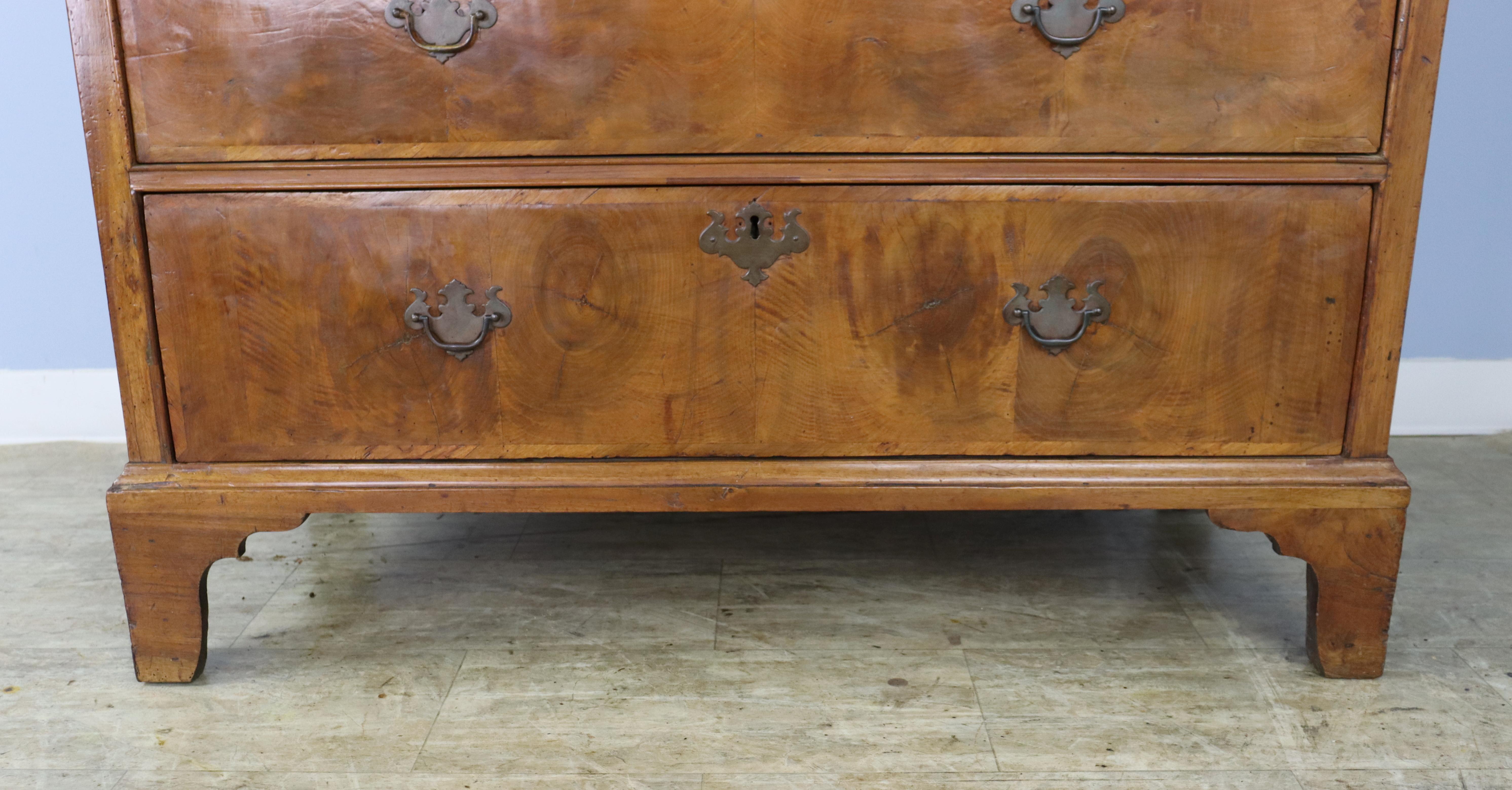 Early Georgian Burr Walnut 2 Over 4 Chest of Drawers, George I Period For Sale 3